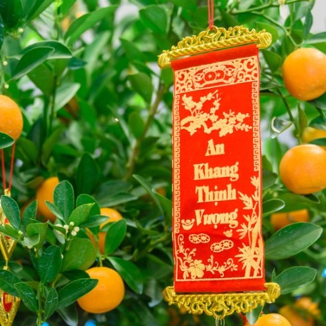 Happy Lunar New Year! 🧧🐉
Wishing all our current and past student tenants a joyful and prosperous Lunar New Year!
May the year ahead bring you happiness, good health, success in your studies and careers, and plenty of exciting opportunities.
Thank you for being part of our community, we’re always grateful to have such wonderful tenants and to have been part of your student journey.
Have a fantastic celebration with friends, family, and loved ones.
新年快乐 (Happy New Year!)