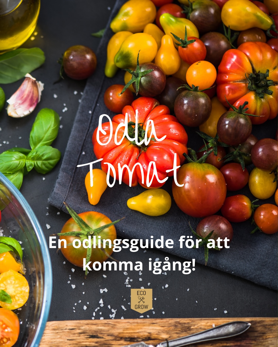 Att odla egna tomater är inte bara kul och givande, det ger dig också möjlighet att njuta av färska, solmogna tomater direkt från din egen trädgård eller balkong. Oavsett om du är nybörjare eller erfaren odlare finns det några enkla tips som kan hjälpa dig på vägen till en rik skörd! I vår bio hittar du ett blogginlägg med våra bästa tips💚🍅