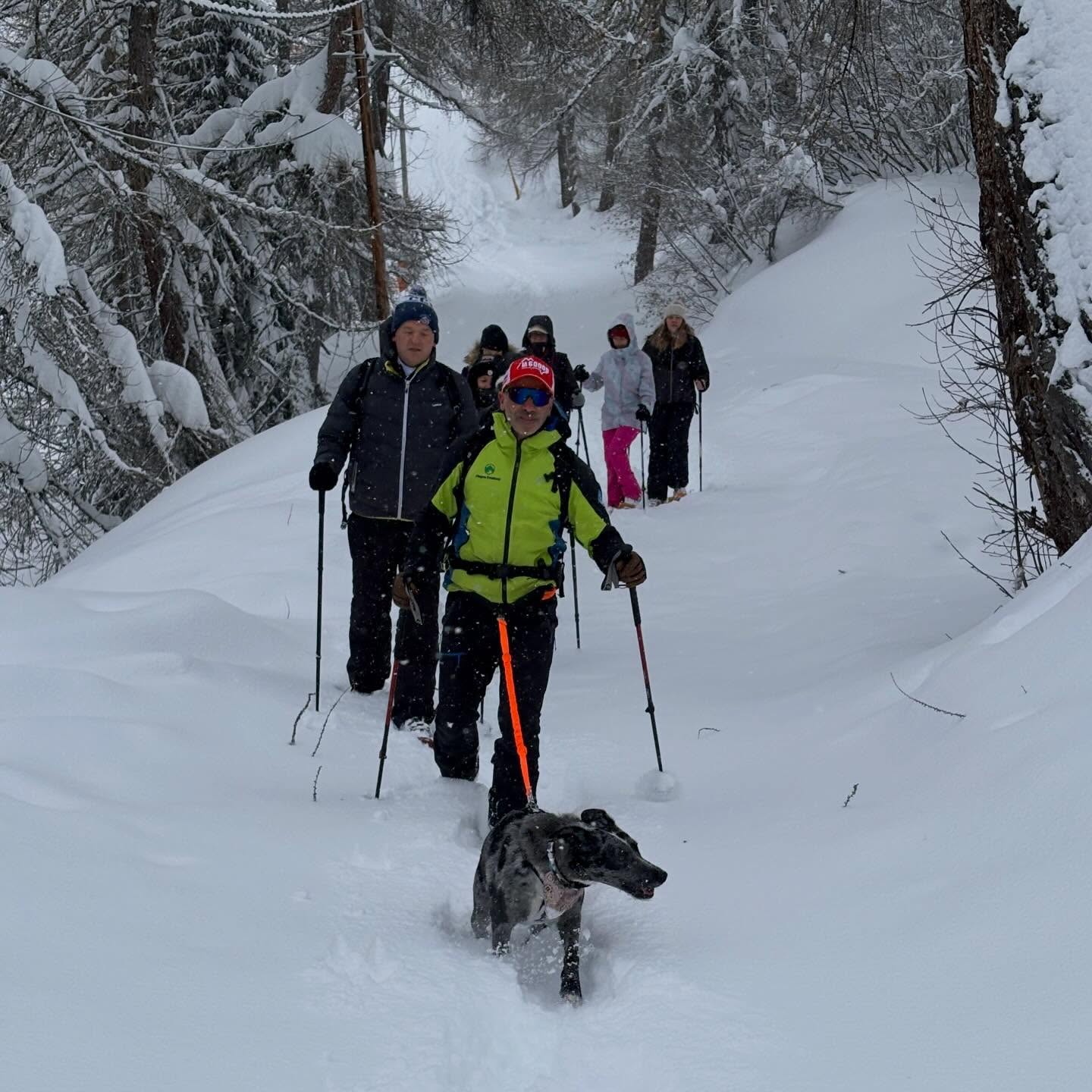 Sous la neige avec Tam la mascotte de @plagne_evasions_ @idog_concept @dogcopenhagen_official @tsloutdoor