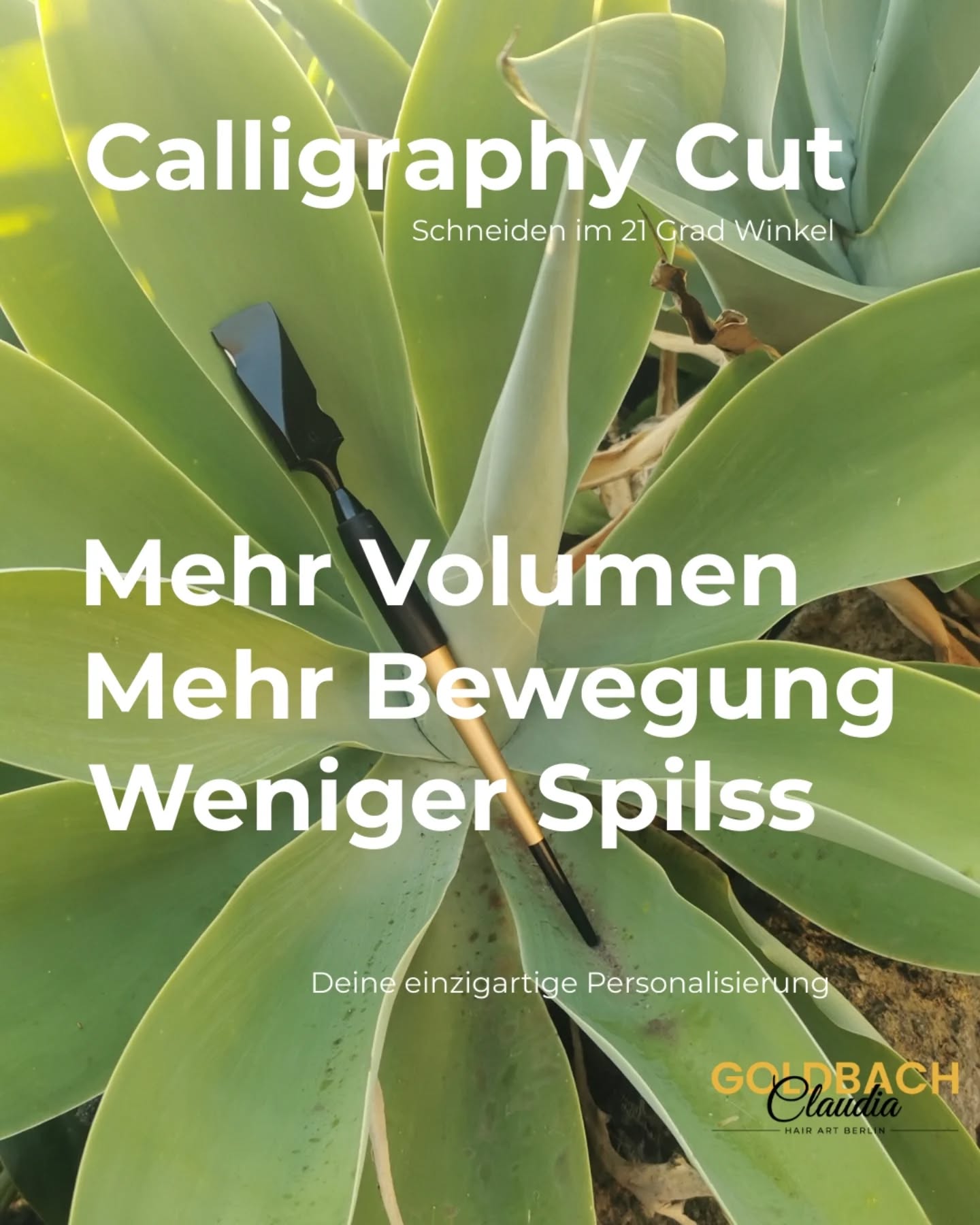 Calligraphy Cut: Deine individuelle Personalisierung ✨
Schneiden im 21° Winkel statt mit der klassischen Schere.
Was deine Haare davon haben?
Mehr Volumen.
Mehr Bewegung.
Weniger Spliss.
Durch die spezielle Schnitttechnik werden die Haarspitzen sauber versiegelt statt gequetscht.
Das Ergebnis: spürbar gesünderes Haar mit natürlichem Fall und mehr Bewegung.
Für mich ist der Calligraphy Cut kein Trend.
Es ist ein Werkzeug, um deine einzigartige Haarstruktur wirklich zur Geltung zu bringen.
VOLUMEN IM HAAR
CALLIGRAPHY CUT
CURLYHAIR
NATURLICHE BEWEGUNG
GESUNDE HAARE
#calligraphycut
#lockenspezialistin
#volumenimhaar
#lockenschnitt
#wenigerspliss