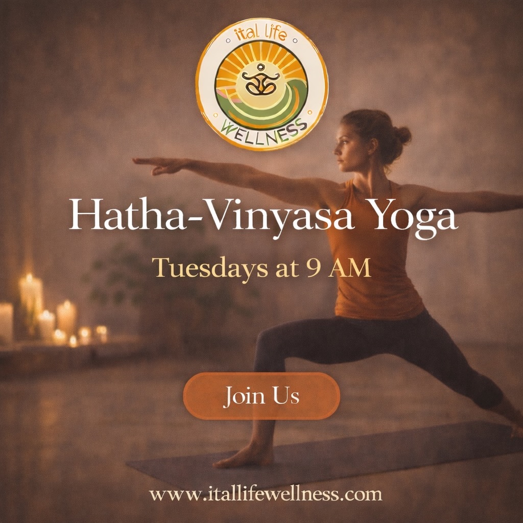 Tomorrow morning we slow down enough to feel, and move enough to awaken.
Hatha–Vinyasa is the perfect balance of steady holds and fluid transitions. We’ll focus on breath-led movement, alignment, and building strength with softness.
This class is grounding, intentional, and accessible to everyone at every level.
🕘 Tuesday | 9:00 AM
📍 Ital Life Wellness
5th Ave between 52 & 54
Drop-in: $300 MXN
Book at www.itallifewellness.com
Start your morning aligned instead of rushed.
See you on the mat. 🌞