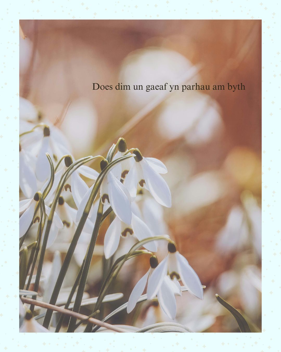 ☀️ Does dim un gaeaf yn parhau am byth