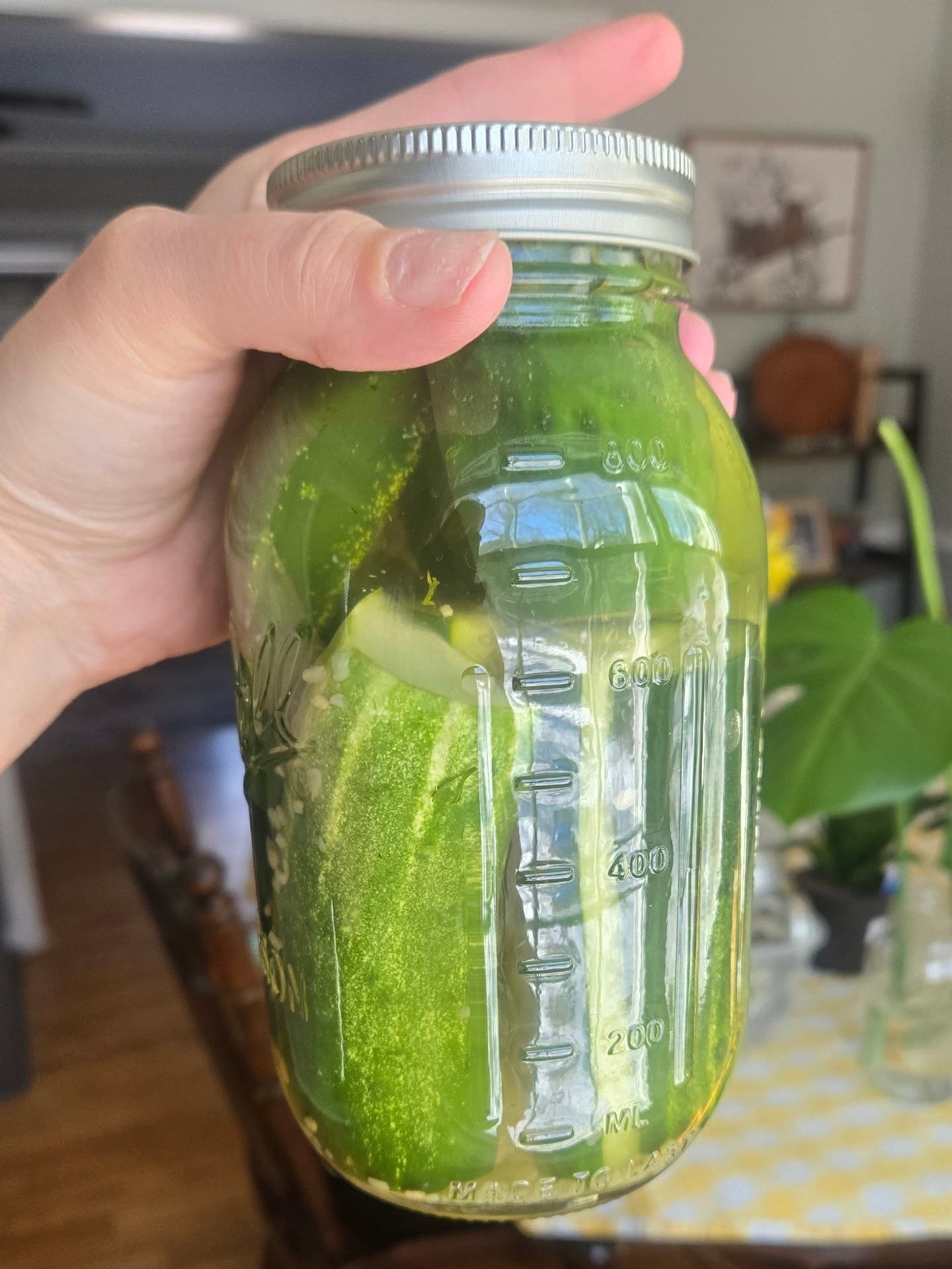 I'm back!!!
I took off January and February and it was only because I wanted to. I have focused on my physical and mental game and its been amazing.
We have a lot of changes in 2026
1. I will be adding HOME MADE PICKLES to the game. This will be on my socials and at the market only. This will not be on my website! More details to come.
2. I will also be scaling back to 6to 7 scents a season. I will be making my own scents which is such an adventure and blessing and making them even more organic than before.
NEW LAUNCH IS FEBRUARY 28TH
3. THE Shore Drive Farm Market IS WHERE MY PICK UP IS. THIS GOES FOR EVERYONE. I have a few people this is a exception for and they are aware of who they are. Also if I give you your orders at my church that will continue as well.
SHIPPING IS 7 BUISNESS DAY TURN AROUND. NO EXCEPTIONS.
my children are older and very active. I also take my active training and studies very seriously. Dunn Homemade is a gift from god that I have been blessed with and refuse to let me stress out as it is my passion and outlet.
Here's to 2026 and I hope you all continue to love and support my little blessing!!!
Danielle