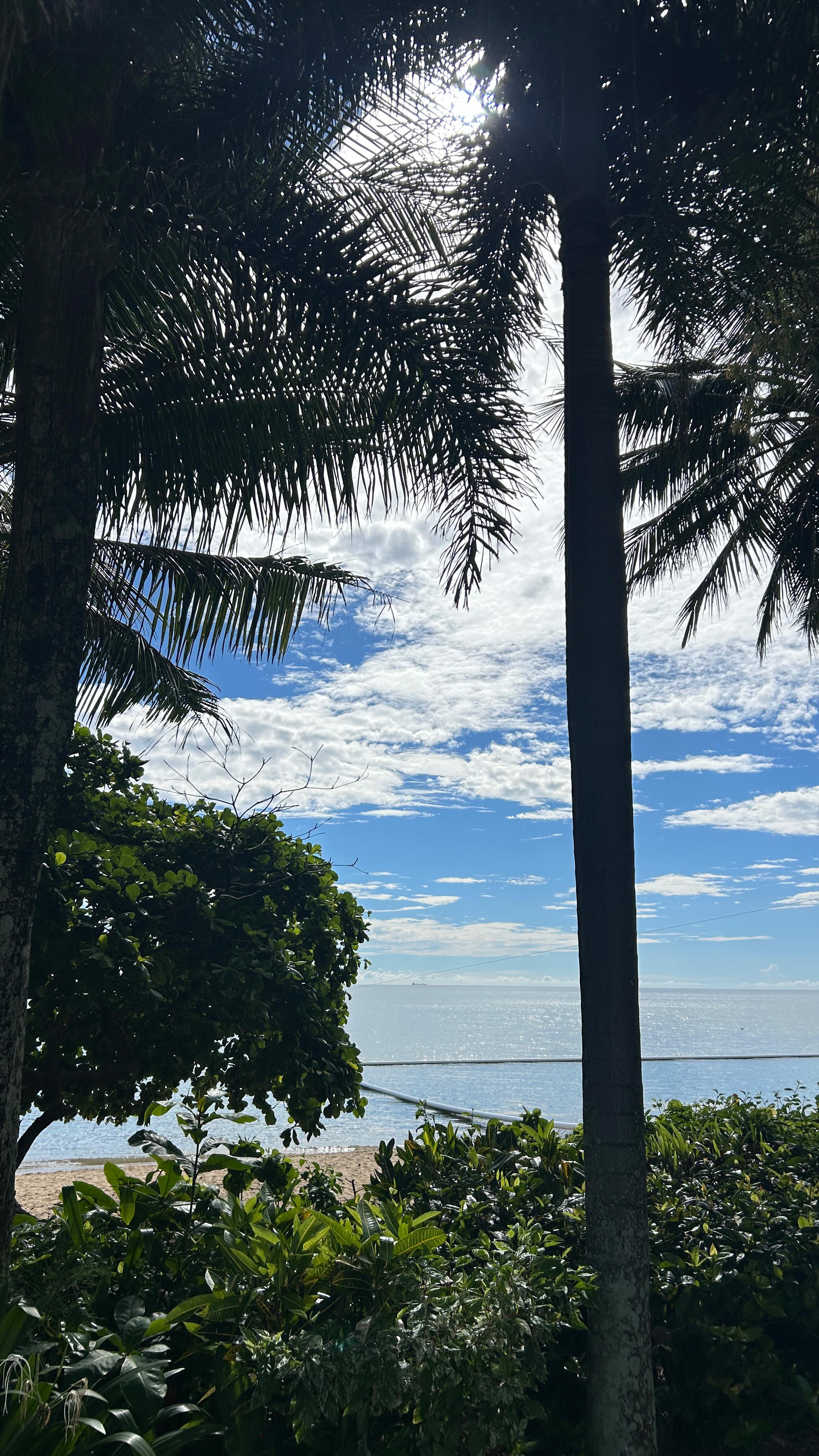 Introducing intra-run fuelling doesn’t have to be dramatic or difficult.
You don’t need fancy gels on day one.
You don’t need to suddenly double your carbs.
I’m starting to increase my intra-run fuelling and here is what I am focusing on:
1️⃣ Start with foods I already tolerate (yes, sometimes that’s lollies).
2️⃣ Start small, to allow your gut to adapt over time.
3️⃣ Plan routes with toilet access while your body adjusts.
It’s normal for your body to need time to adapt to digesting carbs while running. The goal is gradual exposure.
If your runs are over ~60–75 minutes and you’re not fuelling yet, this could be a game changer for performance and recovery. Better fuelling → better sessions → better adaptations.
If you’re unsure how to introduce intra-run fuel without upsetting your gut, that’s something I work on a lot with my everyday athletes. DM me and see how we can work together to build your fuelling plan!
#dietitian #runnutrition #fuelyourbody #sportsdietitian