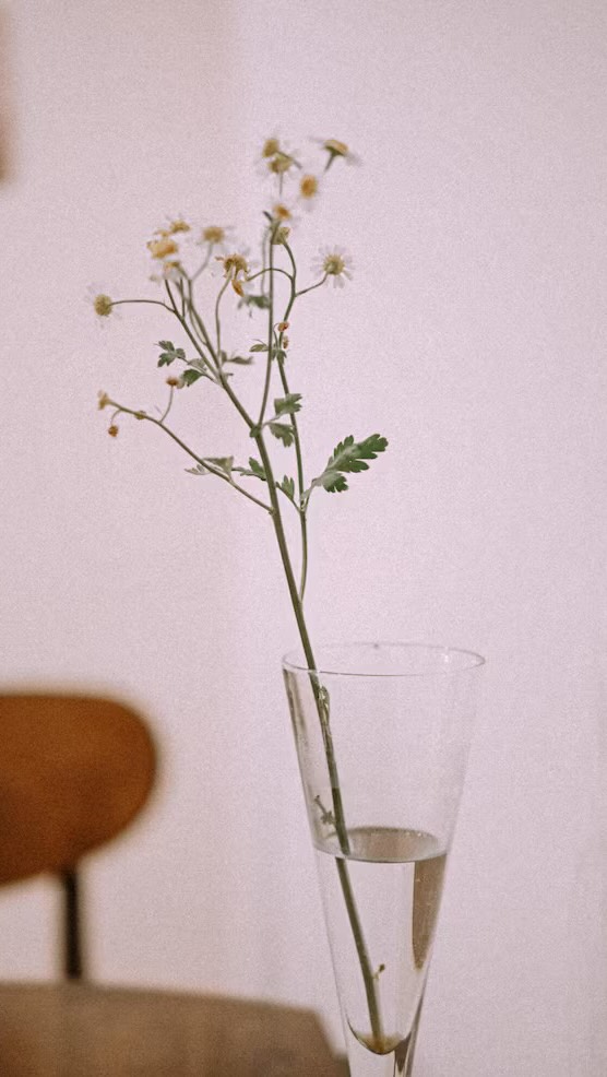 Content day outfits with matching edits 🥰💓
:
:
#reels #digitalmarketing #fashioneditorials #fashionedits