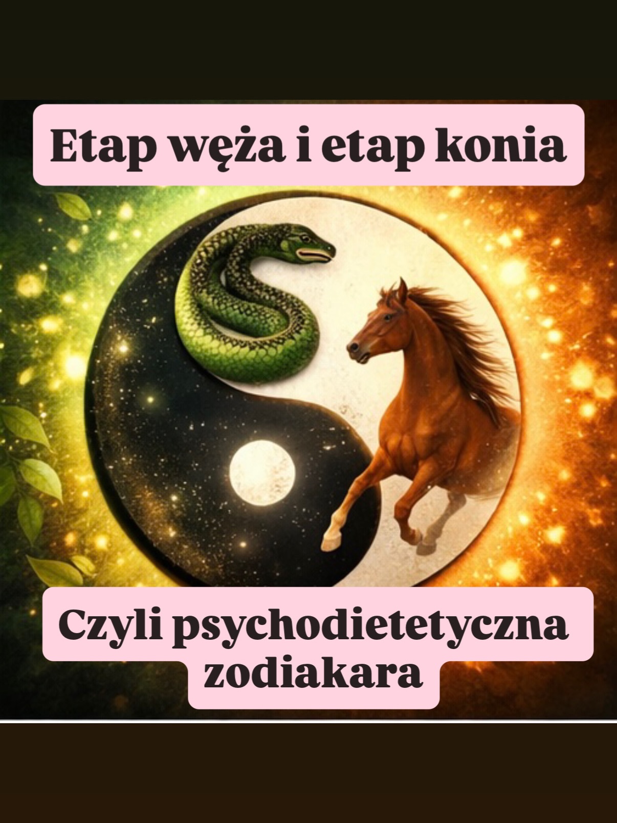#nowyrok #nowaja #chińskinowyrok