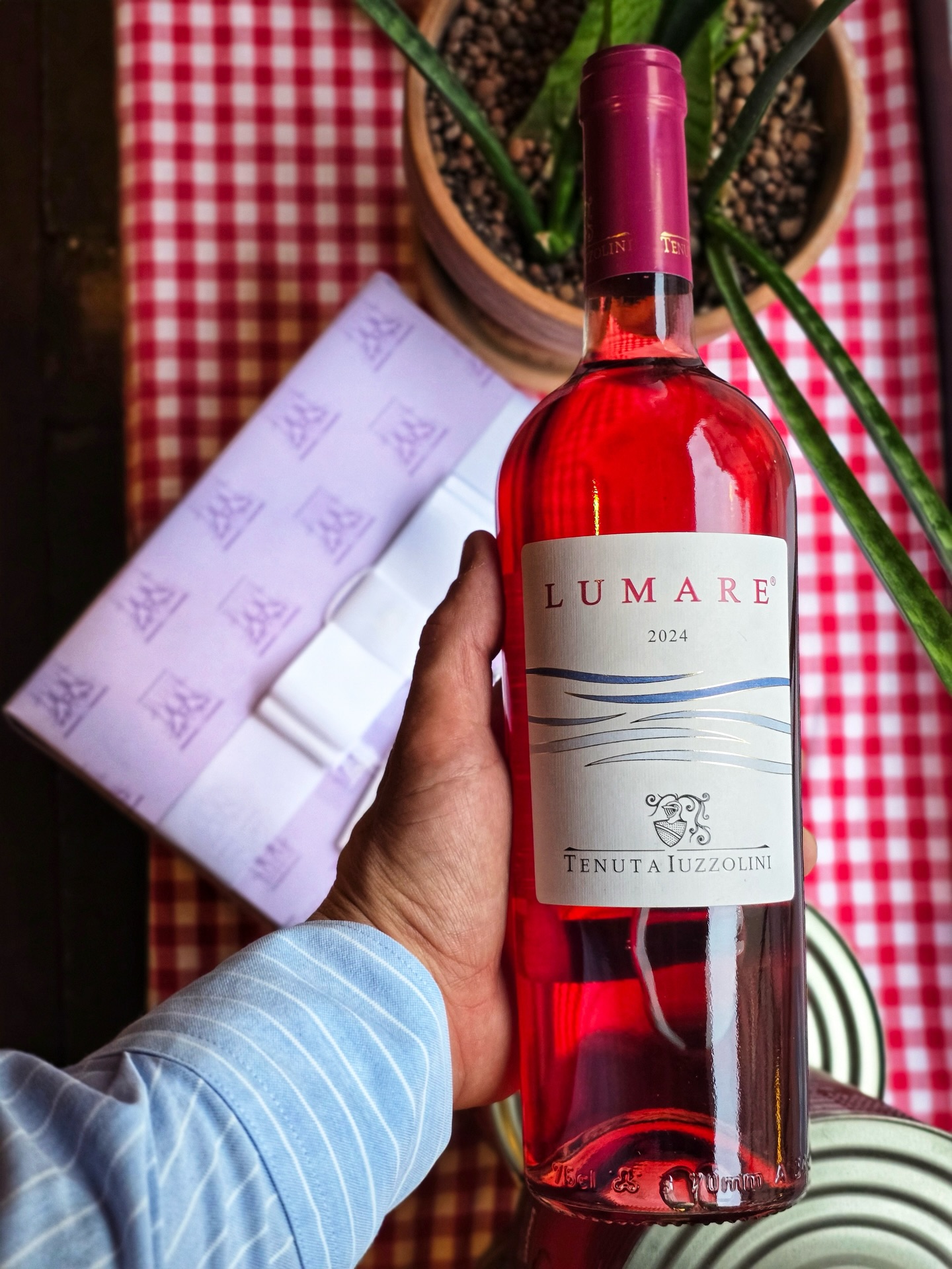 Did you know that … with just five bottles, you can travel across Italy?✈️🚗
From Calabria’s sun kissed Lumare Rosato,
to Tuscany’s elegant Mongrana,
Friuli’s rare Schioppettino Riserva,
Sardinia’s coastal Vermentino di Sardegna,
and Garda’s smooth Merlot…🍷
Every region tells a different story in your glass.
Discover Italy🇮🇹 one bottle at a time.
#wine #food #foodlover #italy #italianstyle