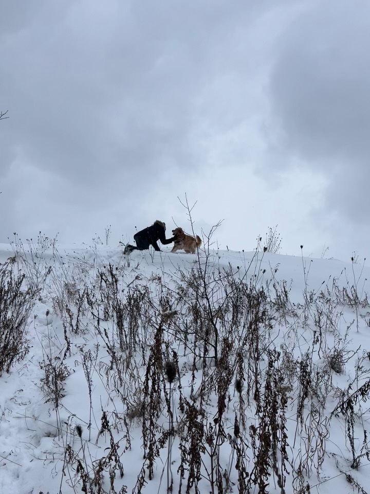 Life lately: growing our little family ☺️
Baby due July 2026 💕