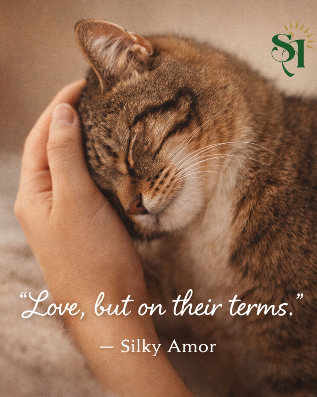 Not all love is loud.
Some love is a soft purr beside you, a slow blink, a gentle head bump 🐾💛
Cats choose their people… and when they choose you, it’s forever.
At Silky Amor, we create gentle care made especially for sensitive souls — because trust like theirs deserves comfort, softness, and kindness 🌿🫧
To every cat parent… you were chosen for a reason.
#SilkyAmor #CatLove #ChosenHuman #CatCare #GentlePetCare #HappyCats #PetWellness #LoveInEveryWash