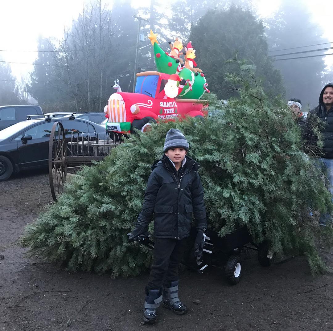 This family cut a huge Douglas Fir this afternoon-- it must've been over 10 ft tall!
#fernridgetrees