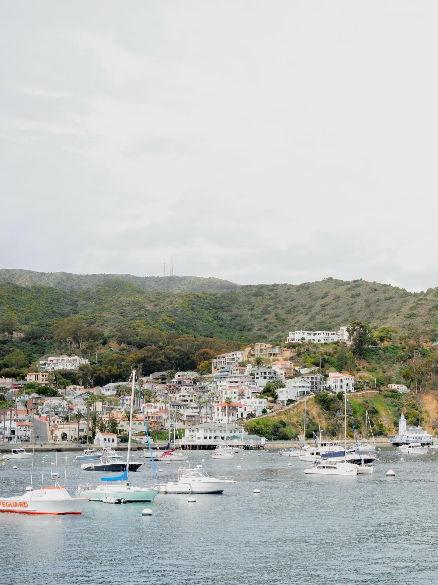 Catalina island recap on Fujifilm from this weekend! ⛴️