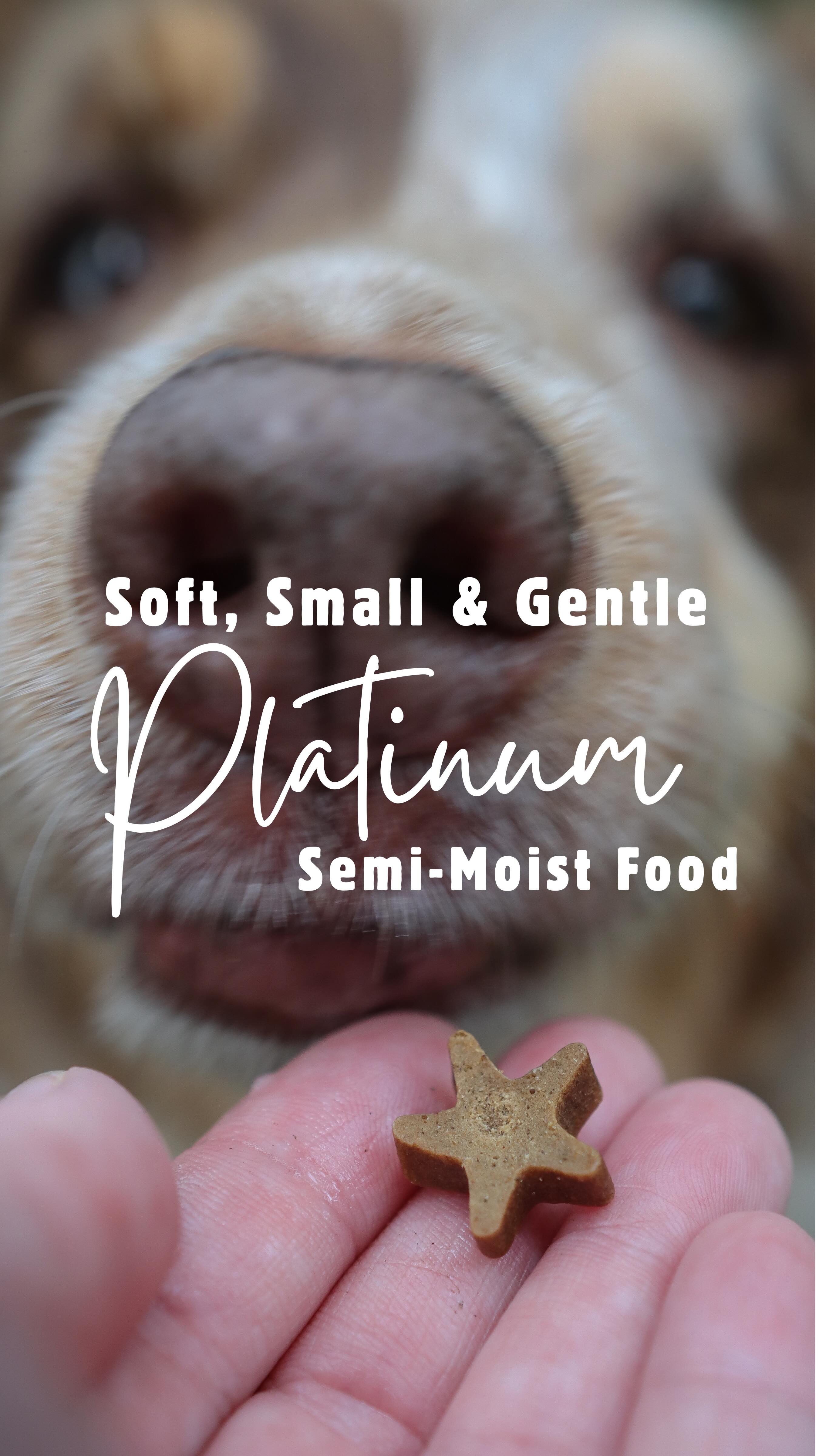 Chester’s had two tuffs 🦷 out this week, so we’re doing soft, small, and super gentle for dinner 🥺🐾
@platinumpetfood semi-moist lamb kibble is a lifesaver because I can chop it into tiny bite-sized bits for easy chewing but same goodness, just kinder on a sore mouth.
He has been such a good boy!
#dogrecovery #toothextraction #dogparents #gentledinner