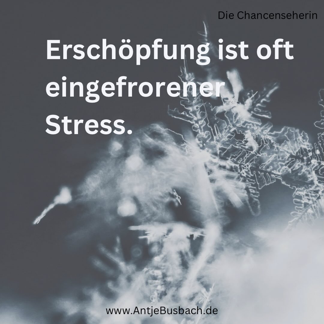 Dein Körper braucht sanfte Aktivierung.
Du bist die wichtigste Person in deinem Leben.
Manchmal reicht ein einziger echter Moment – und du erinnerst dich wieder, wer du bist.
Deine Lebensqualität verbessert sich. Du wirst lebendig!
Herz über Kopf wieder leben. Direkthilfe in Krisenzeiten.
https://kurzlinks.de/wo23
Ich zeige dir wie du wieder in dein Strahlen kommst, trotz eines stressigen Alltags. Du lernst, wie du Krisen spielend meisterst, in dem ich dir meinen stärkenden Werkzeugkasten für Zuversicht und Lebensfreude an die Hand gebe, damit du ein rundum erfülltes Leben genießt.
* Der Beitrag war ein Augenöffner? Teile ihn doch in deiner Story und mit deiner Community!
* Speicher dir den Post ab, damit du immer wieder drauf zurückgreifen kannst.
* Der Beitrag gefällt dir? Dann gib mir gerne ein Like.
* Markiere die Person, die diesen Beitrag nicht verpassen darf!
Feel Freude und fühl Vergnügen
Antje Busbach - die Chancenseherin
#chancenseherin #AntjeBusbach #frauenimstress