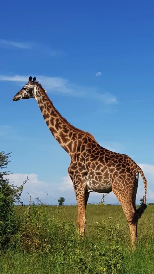 Praias, montanhas, safaris, cidades históricas… qual será o seu destino para 2026? Comente o seu lugar dos sonhos para planejarmos juntos!
#roteirodeviagem #entaovah