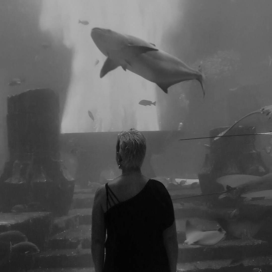 Megaaquarium in Dubai!!!! #dubai #atlantisthepalm #life #family