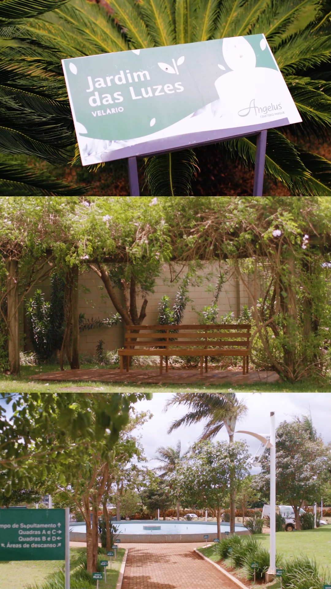 Silêncio que acolhe. Verde que acalma. 🌿
Conheça o Cemitério Parque, um espaço onde o tempo desacelera e a memória encontra cuidado.
Nele, cada detalhe é guiado pelo respeito, pela dignidade e pelo cuidado com as famílias, em um ambiente integrado à natureza e pensado para acolher.
Um lugar para honrar histórias e preservar o que realmente permanece.
Você já conhecia esse espaço? 💚
👉Saiba mais em: angelussul.com.br
📍 Av. João Batista Salvadori, 840 - Área Urbanizada II | Campo Mourão - PR
#Angelus #CemitérioParque #Acolhimento #Respeito #Estrutura