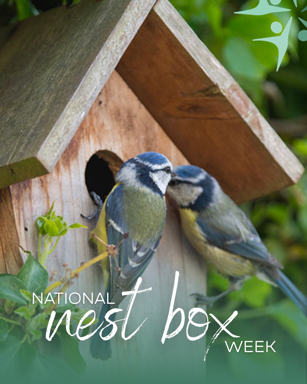 It’s National Nest Box Week!🌿
From the 14th–21st February, people across the UK are being encouraged to install bird boxes in gardens, parks, and green spaces to provide safe nesting sites for our feathered friends, especially as natural habitats continue to disappear due to urbanisation and landscape changes. Nest boxes help birds find a secure place to raise their young and support local biodiversity.
At RYR, we’re all about building stronger communities, not just through engagement and liaison services, but also by supporting initiatives that help wildlife thrive alongside people. This National Nest Box Week, why not take a moment to think about how we can make space for nature in the places where we live and work? 🌳
If you’re putting up a nest box, planting bird-friendly plants, or simply learning more about local wildlife, let us know in the comments!🐤
#NationalNestBoxWeek #SocialValue #RYRLtd