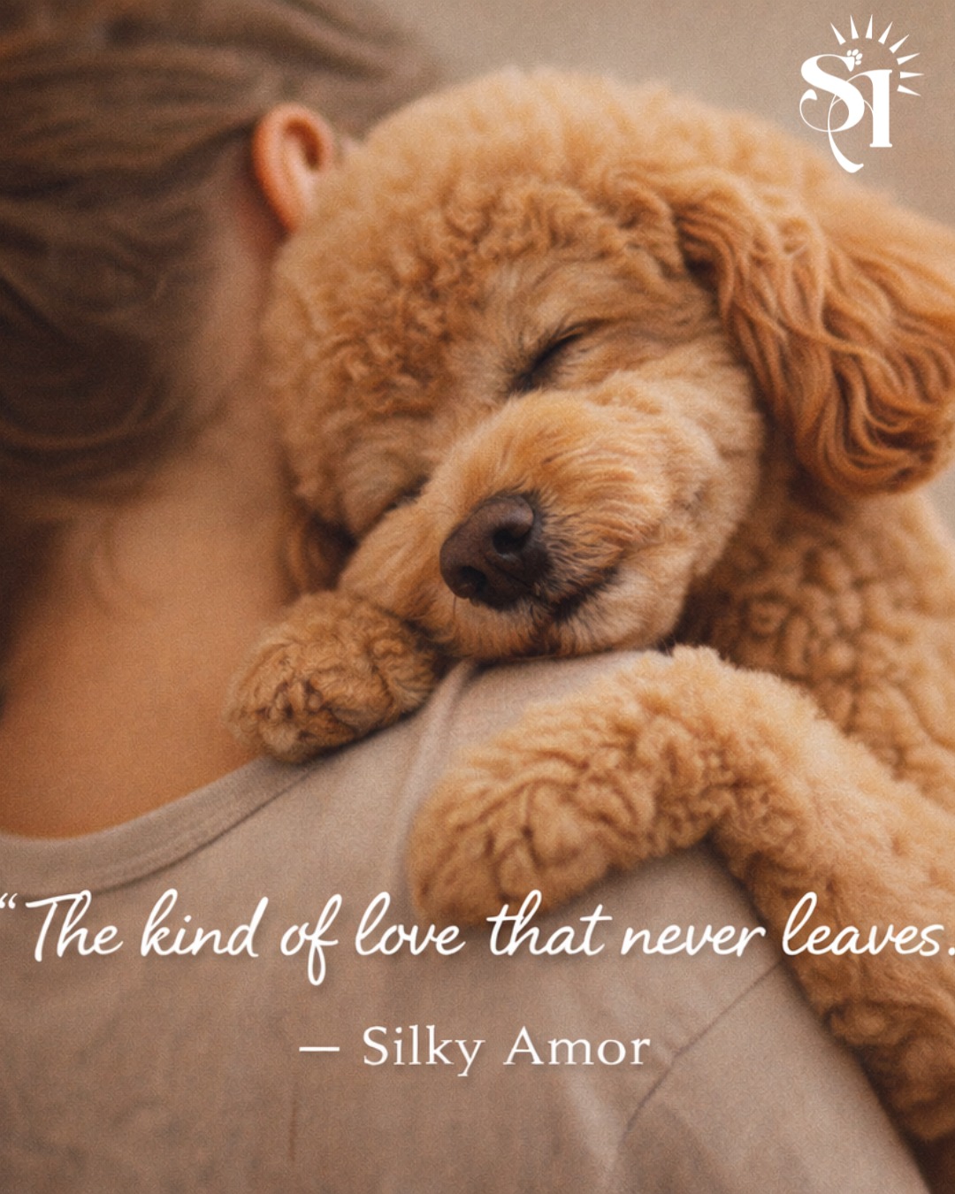 Some love waits at the door.
Some love follows you from room to room.
Some love never lets you feel alone 🐾💛
Dogs don’t love quietly — they love with their whole heart.
At Silky Amor, we care for them the same way… gently, naturally, and with kindness in every wash 🌿🫧
Because a love that is loyal deserves comfort you can trust.
#SilkyAmor #DogLove #LoyalLove #HappyDogs #GentlePetCare #PetWellness #LoveInEveryWash #DogParents