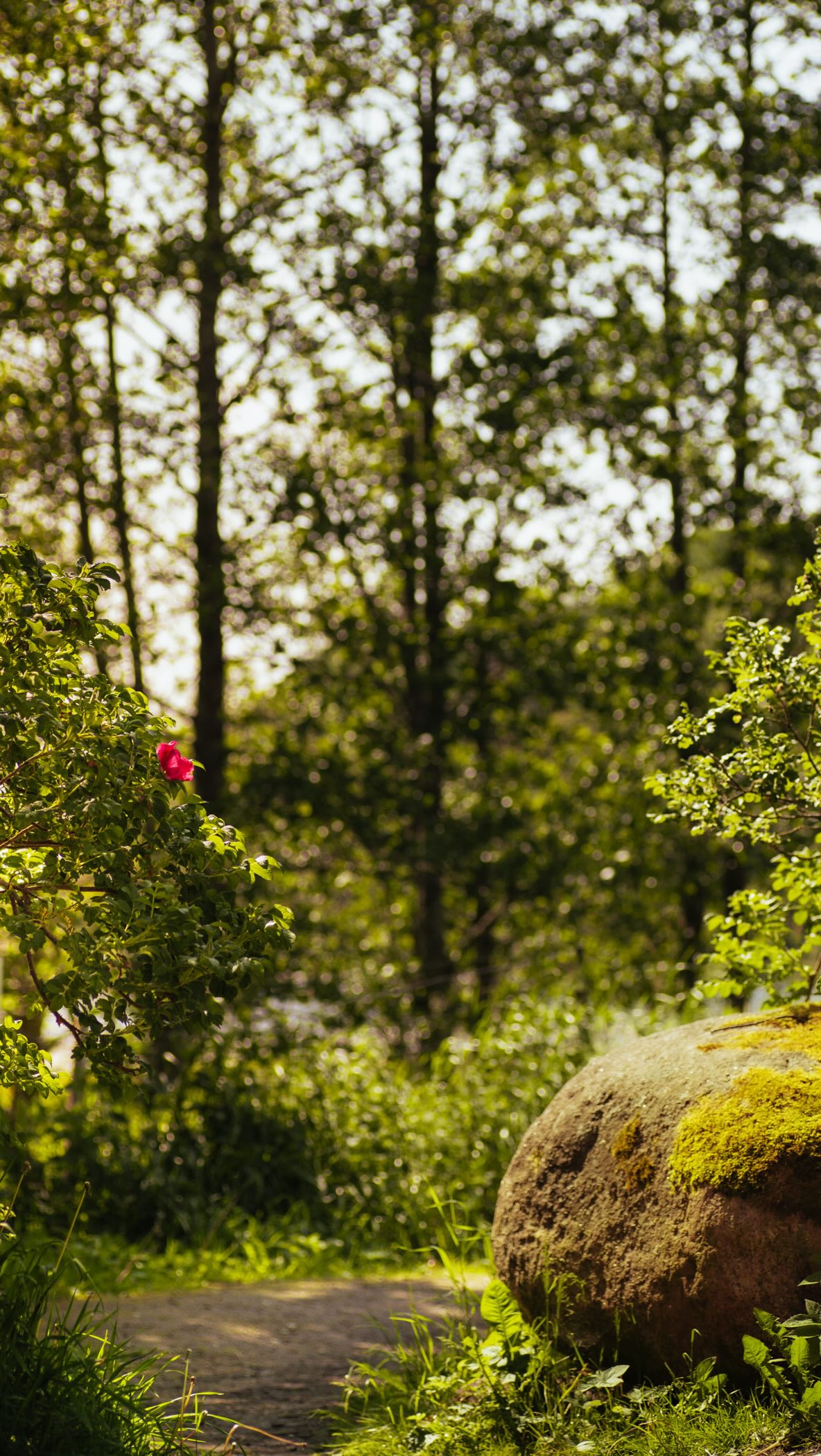 Det är inte långt kvar nu! 🤩🙌🏻 Vi längtar efter en ny säsong på Hensbacka 🌸🌱