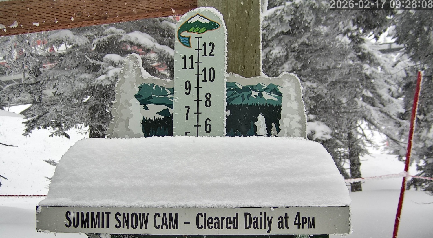 It is dumping in Whitefish right now! From the peaks all the way down to the valley floor. Snowmobile Tours are open and available throughout the week! Skip the long lift lines, book a secluded snowmobile adventure with Whitefish Marine❄️
•
•
•
•
•
•
#whitefishmarine #whitefishmontana #whitefish #explorewhitefish #skiwhitefish