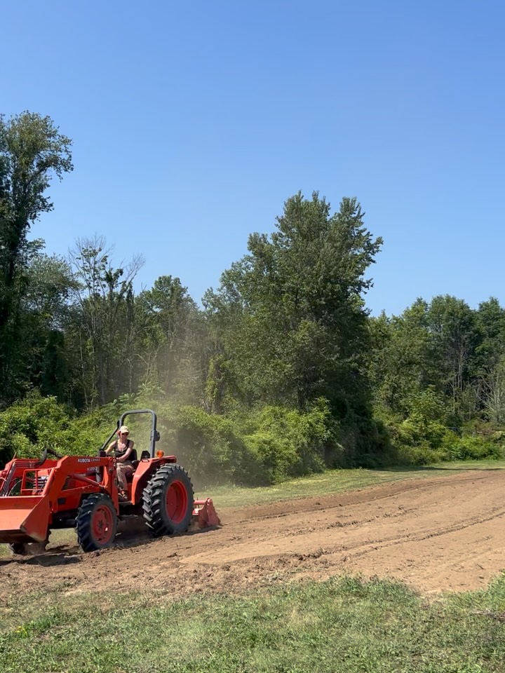 August tilling turning into October bounty! Straight from our fields to your table. In this case from farmer Leah’s field! Each season our apprentices learn the full cycle of a field, and when fall planting comes around each apprenticeship takes responsibility for a field. This field went from being referred to as Back Pasture to Leah’s Field. She lead the planting from tilling, seeding, irrigation, fertilization, and weekly cultivation to manage weeds. Sometimes this meant practicing her delegation skills because that’s a lot for one person!