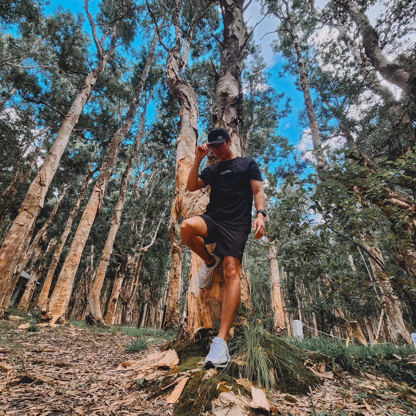 Want to stand out? Wear our unique T-shirt that showcases your passion. Alph Hunt is made for the bold and forged.
Shop on www.alphhunt.com
#follow #alphhunt