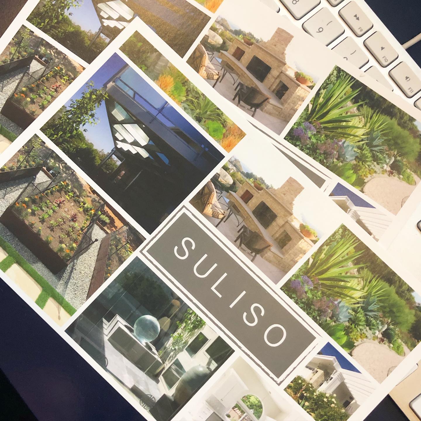 New postcards 📫🌱