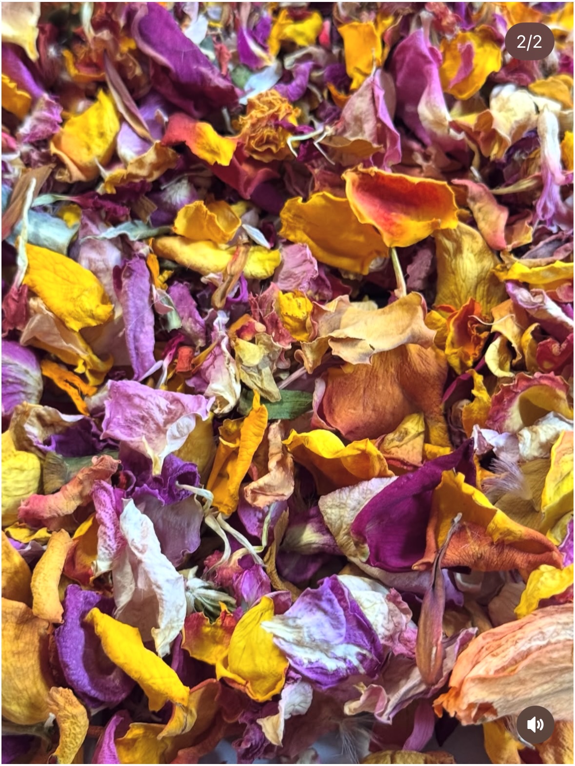 W E D D I N G S H O W C A S E
Meet the suppliers 🤍
We love supporting an independent business and like all of our suppliers @ezras_confetti is just that ♥️
Whilst they can’t be with us on the day… there’s a little gift from them for you on the day!
#confetti #weddingconfetti #weddinginspiration #weddinginspo