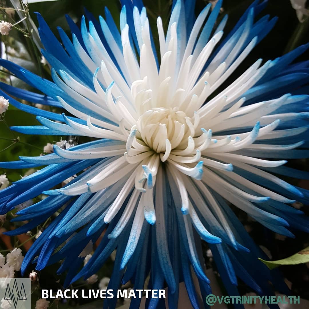 PAUSE and BREATHE DEEPLY
.
.
.
#mentalhealth #therapy #awareness #stress #trauma #ptsd #anxiety #depression #mind #body #spirit #somaticexperiencing #health #recovery #gratitude #mindfulness #action #nostigma #free #hope #help #open #connection #trust #peace #breath