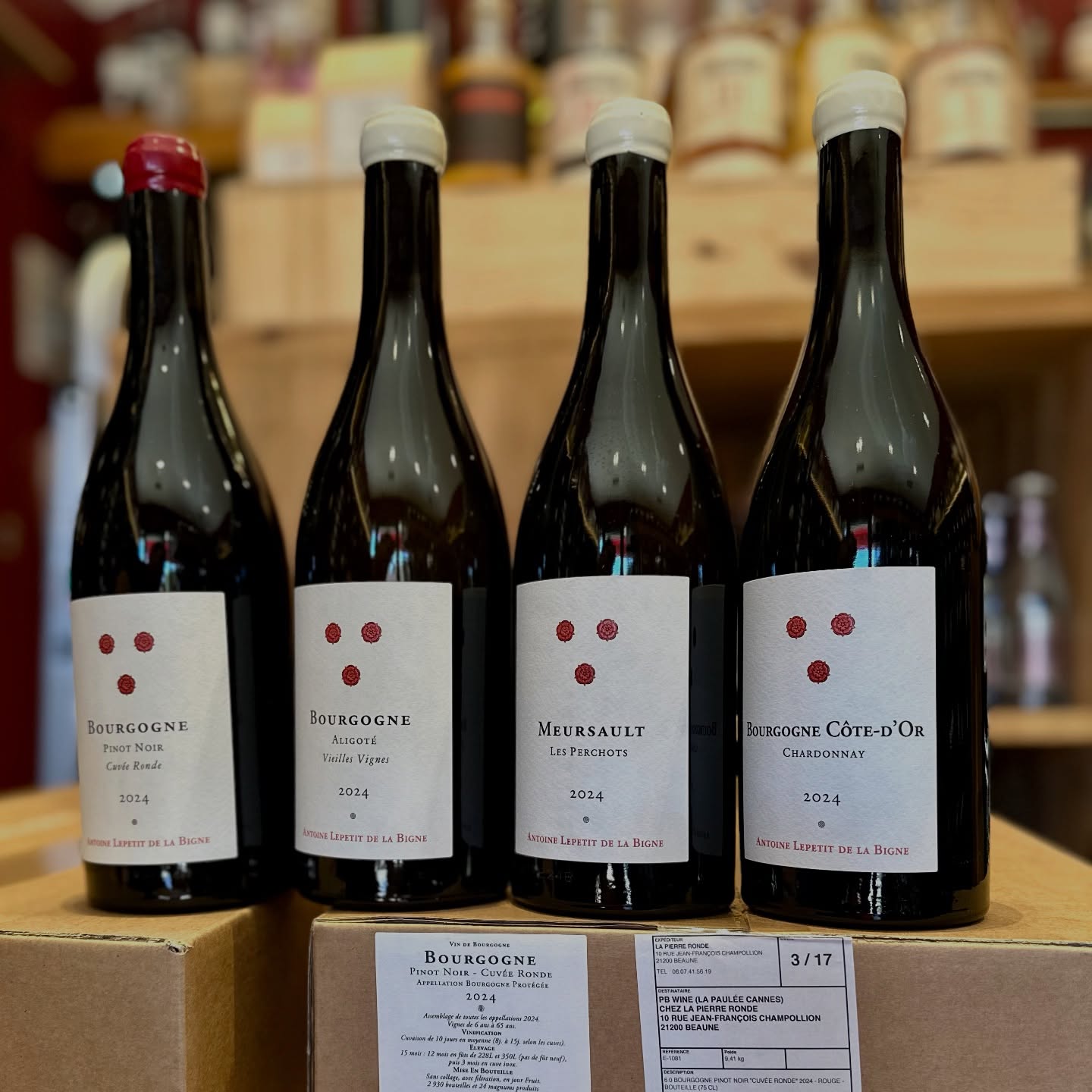 Et biiim
Quand tu reviens de vacances , tu ramènes un magnet à mettre sur la porte du frigo.
Moi je vous ai ramené les vins d’Antoine Lepetit de la Bigne.
1 seul rouge cette année , un assemblage de toutes ses appellations (avec ce catastrophique millesime 24 sur les rouges)
(Une dinguerie)
L’énorme aligoté vieilles vignes , le bourgogne côte d’or et le Meursault Perchots.
Un style particulièrement élégant , précis et fin.
Si c’est pas une preuve d’amour ça !