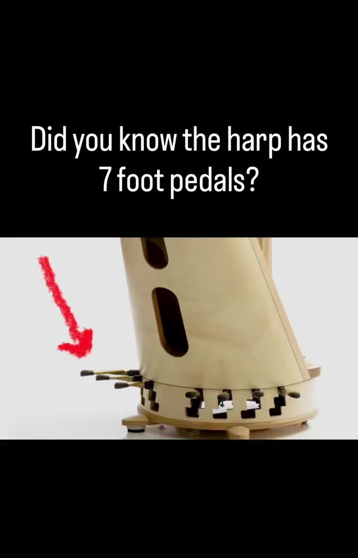 In a galaxy far, far away…
this is what makes the magic happen.
Princess Leia’s Theme ✨
Did you know the harp had 7 pedals??
.
.
.
#StarWarsFans #PrincessLeiasTheme #JohnWilliamsMusic #SoloHarp #PedalHarp