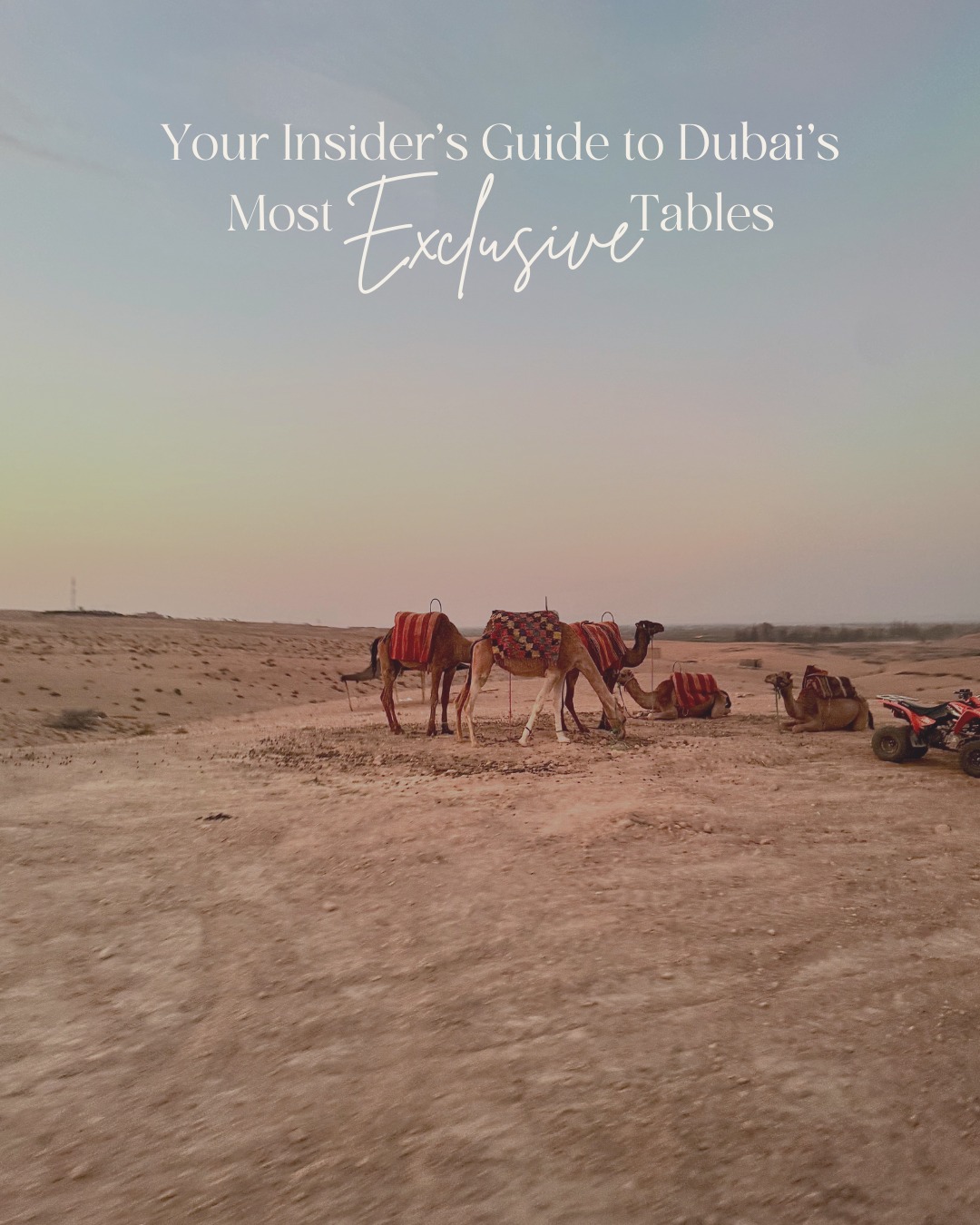 Dubai's restaurant & bar scene is absolutely wild right now—Michelin-starred chefs opening outposts, rooftop bars with views that don't quit, and hidden speakeasies you'd walk straight past if you didn't know they were there. Here's your cheat sheet to eating and drinking your way through the city. 🇦🇪
#Dubai #DubaiFood #DubaiFoodie #DubaiRestaurants #DubaiBars #DubaiEats #DubaiBrunch #TenAhead