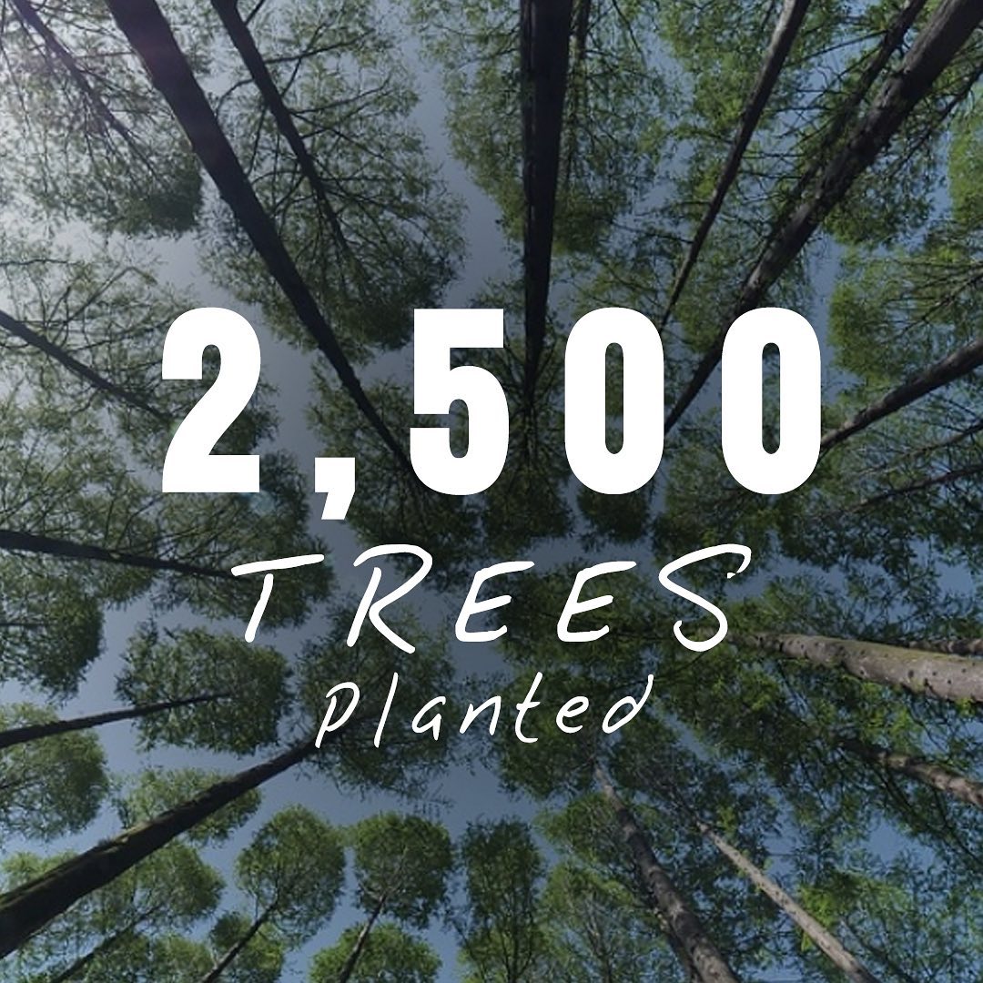 Do we plant trees?… Does a bear shit in the woods? #onetreeplanted #environmental #doyourbit