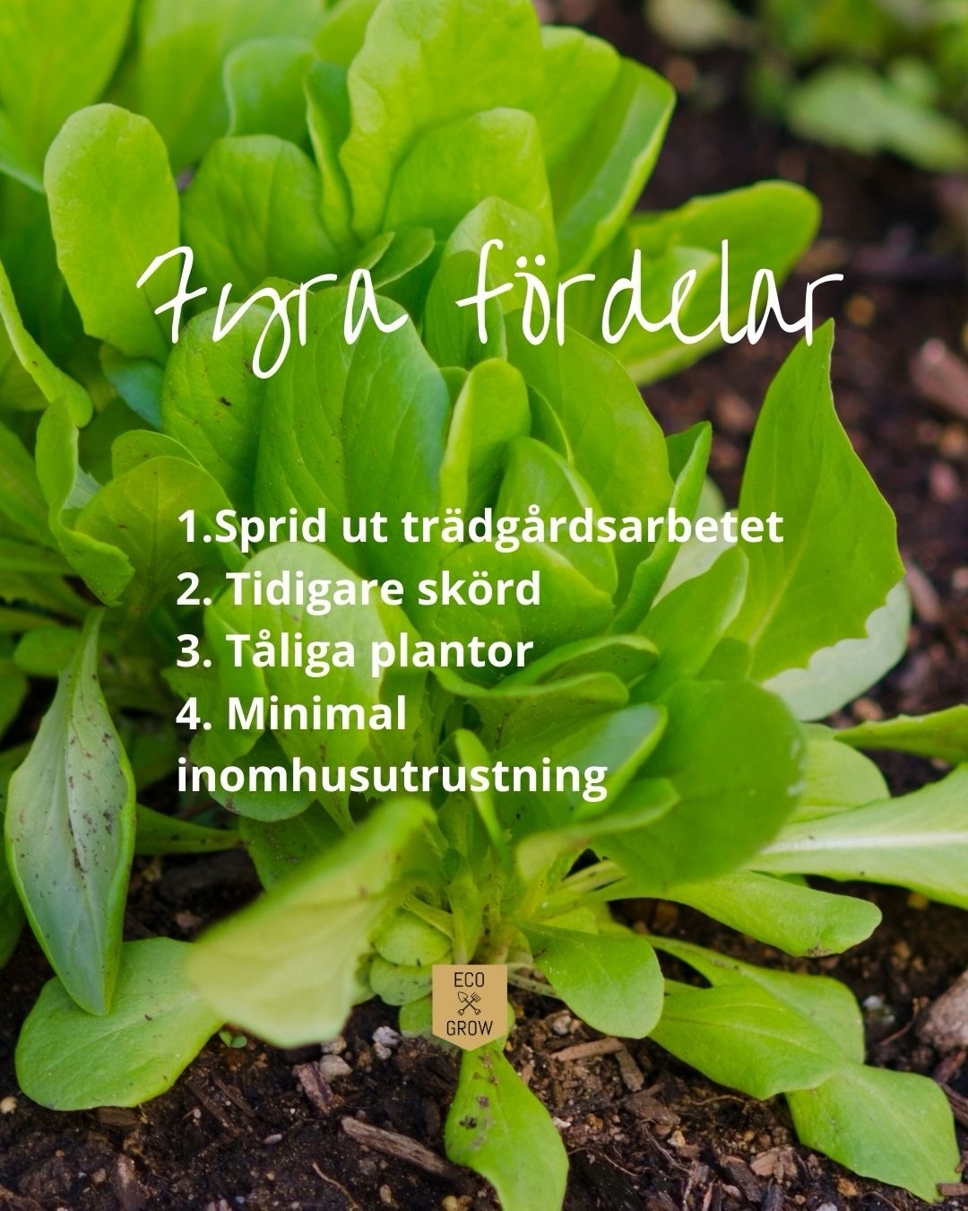 Kallsådd kan väl vara det smidigaste sättet att odla på? Minimalt arbete och maximal avkastning🤩 I bion hittar du en guide hur du lyckas med din kallsådd i år! 🌱 Du hittar guiden bland blogginläggen.
Vad är din favorit att kallså? Vår favorit är all sorts kål och sommarblommor! 🥬 🌸