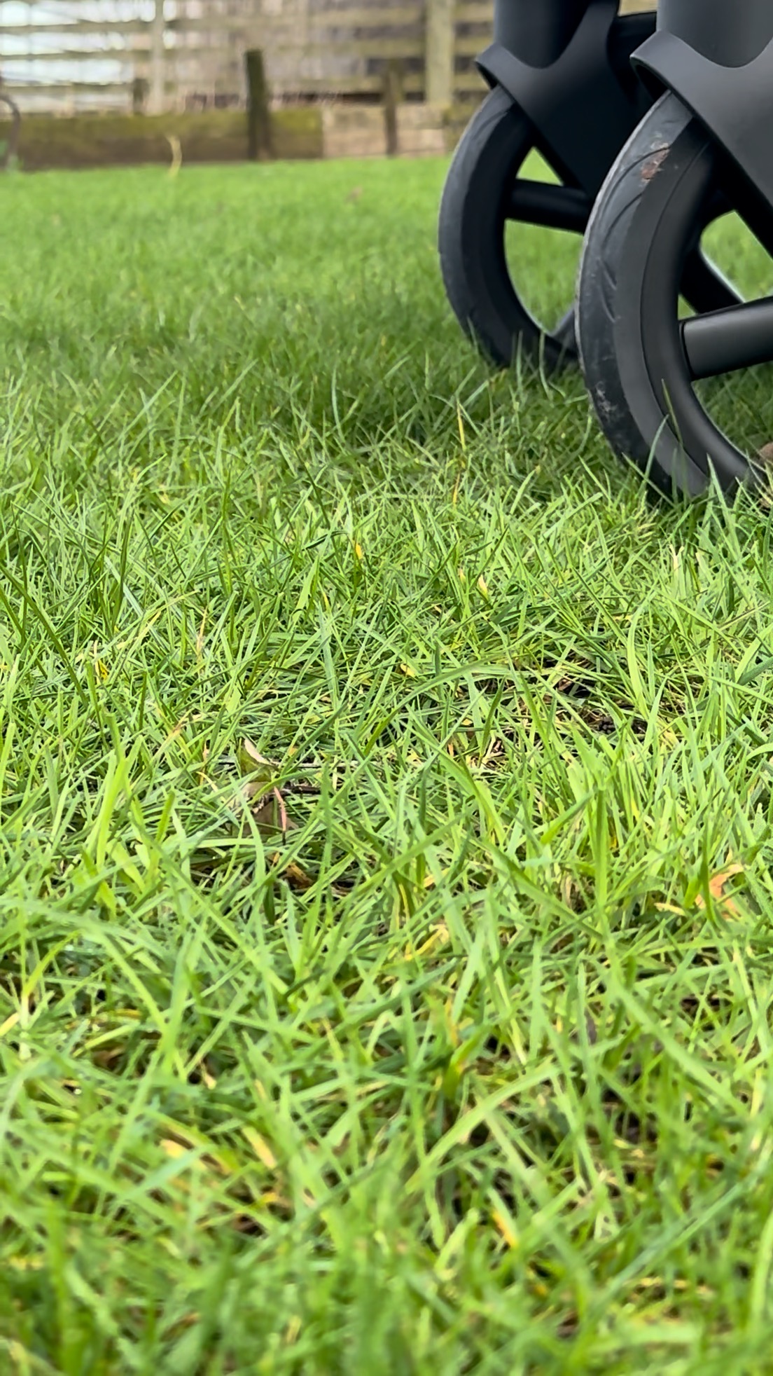 Tiny teaser of something new on the way… 👀✨
Keep your eyes peeled — all will be revealed very soon.
Even our chickens are excited for this one!🐓