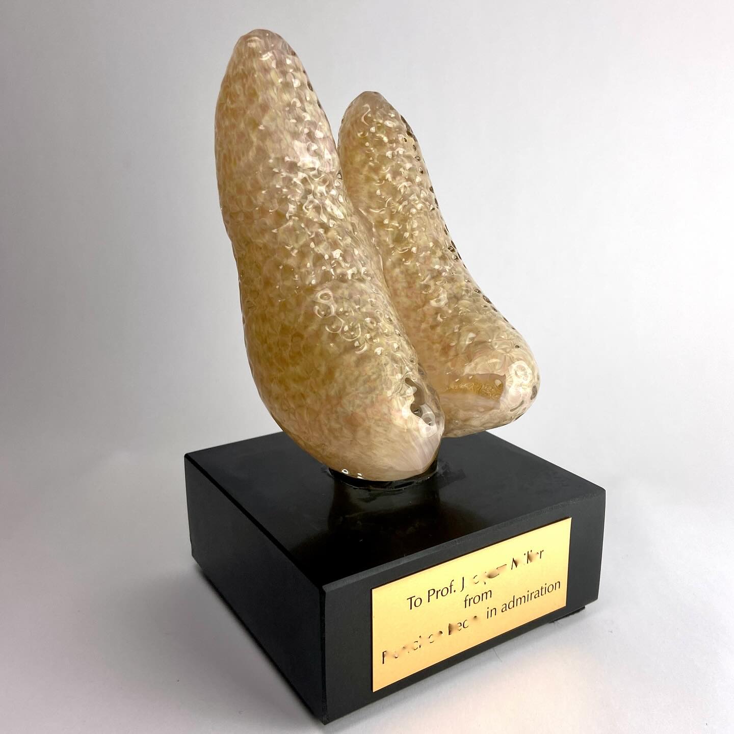 Custom Thymus complete ✨
The first one I made came out more brown, but the doctors said the color ranges and brown wasn’t too far off. But this healthy tan one was chosen for the most know researcher 😅
#thymus #medicalart #glasssculpture #anatomicalart