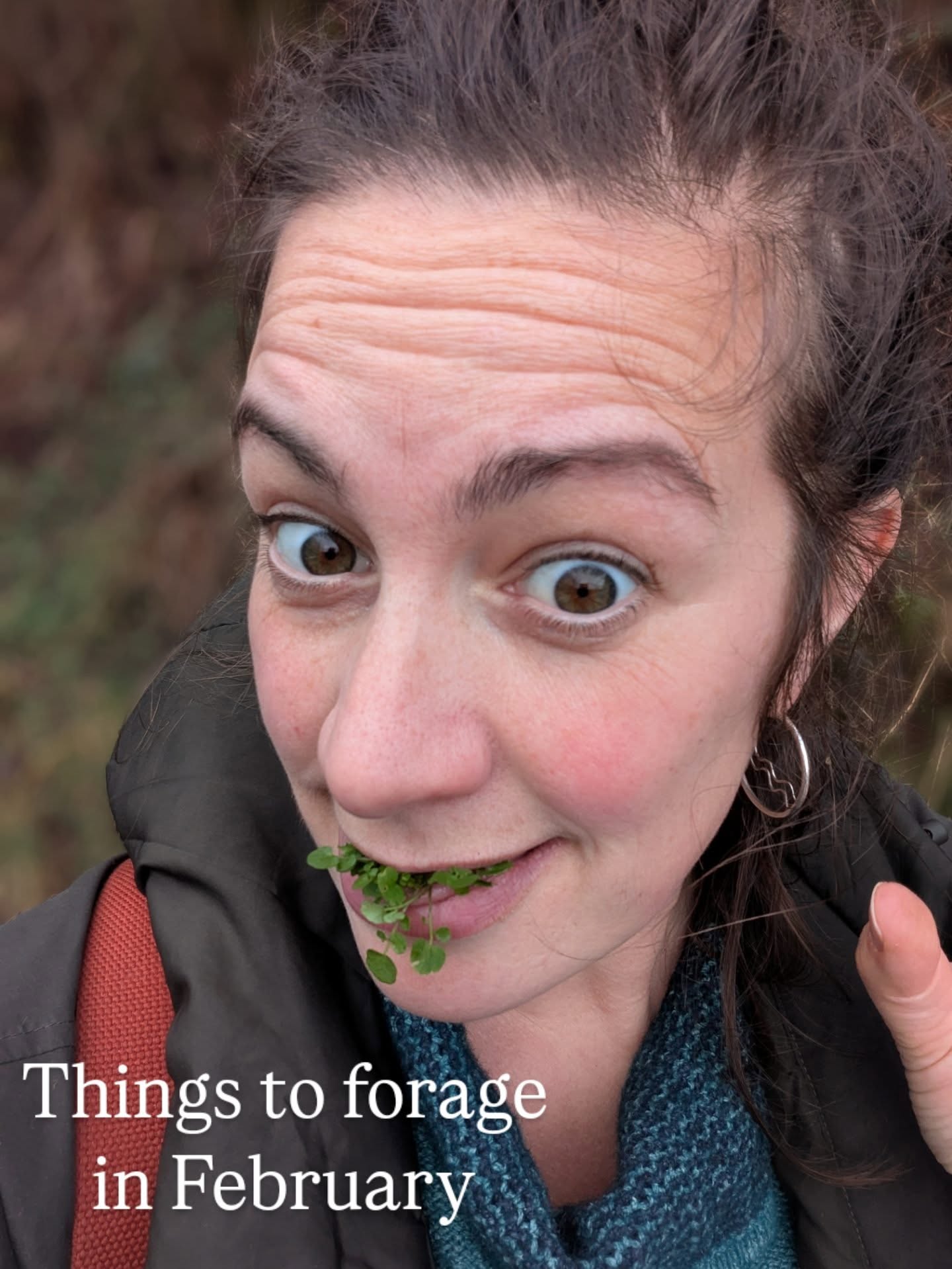 February is a cracking month to start foraging. A lot of plants and fungi are still asleep so it's not overwhelming and mad out there. Here are five species to get you started. Remember that this is just a little post so you still need to do your research. Especially with young greens that can resemble other plants. There is no way to cheat or shortcut when eating wild foods.
1. Hairy bittercress
This is a great winter edible that packs a punch. It grows in a rosette with these gorgeous round leaves opposing eachother all the way up the stem. It's a spicy brassica that spreads in damp patches or on exposed earth in the garden. There are a few similar looking related species.
2. Wild garlic
Oh hello my friend, it's been a while! The ramsons are rising. Head over to my blog on my website for an in-depth look at this well known plant.
3. Primrose
To be fair this is a tad early in the year to see primrose flowers (for me anyway, on the west coast of Scotland) but even if they aren't out, the leaves are also edible. Be careful here though, especially if you're a novice, as they resemble other plants like the toxic foxglove. The flowers are much easier to ID, they taste great and they can be removed delicately so that the plant may still go to seed, if it's been pollinated. I don't eat many of these unless I am at a super big patch and then I'll enjoy a few.
4. Camelia
This is a garden plant and one of my favourite flowers to eat. Again it's a tad early but there are around in sheltered spots. A beloved west coast species. It's flavoursome and versatile. The best thing about this is that a single bush can produce many, many blooms.
5. Scarlet Elf Cup
A great edible fungi to find. Check out my blog page on my website for a detailed insight to this beauty.