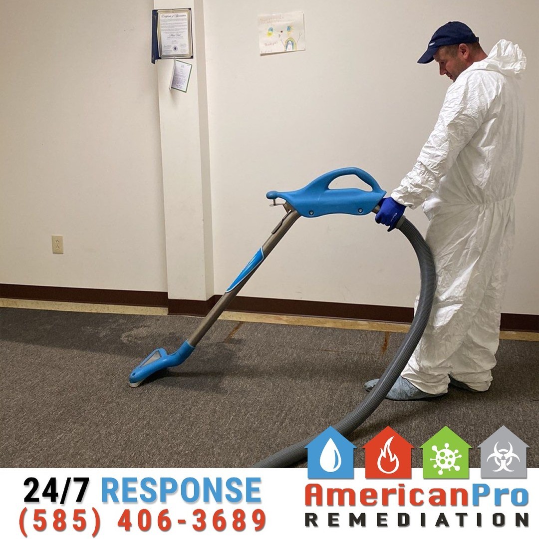 💧🌬️ Advanced Carpet Drying: Saving Your Floors After Water Damage
Water-damaged carpets can lead to mold, odors, and long-term structural problems if not handled quickly. At American Pro Remediation, we use advanced drying techniques to restore your carpets and protect your home.
Here’s our process:
✔️ Water Extraction: We use high-powered equipment to remove standing water and reduce moisture levels.
✔️ Specialized Air Movers: Strategically placed fans circulate air to speed up the drying process without damaging the fibers.
✔️ Dehumidification: Industrial-grade dehumidifiers remove excess moisture from the air to prevent mold and mildew.
✔️ Padding & Subfloor Assessment: If needed, we lift the carpet to ensure the padding and subfloor are thoroughly dried.
With our expertise, your carpets can be saved, your home protected, and your peace of mind restored. 🏠✨
📞 Call us today at 585-406-3689 for fast and reliable water damage restoration!
#AmericanProRemediation #WaterDamageRestoration #CarpetDrying #MoistureControl #AdvancedTechniques #MoldPrevention #DisasterRecovery #IICRC #WeRestorePeace