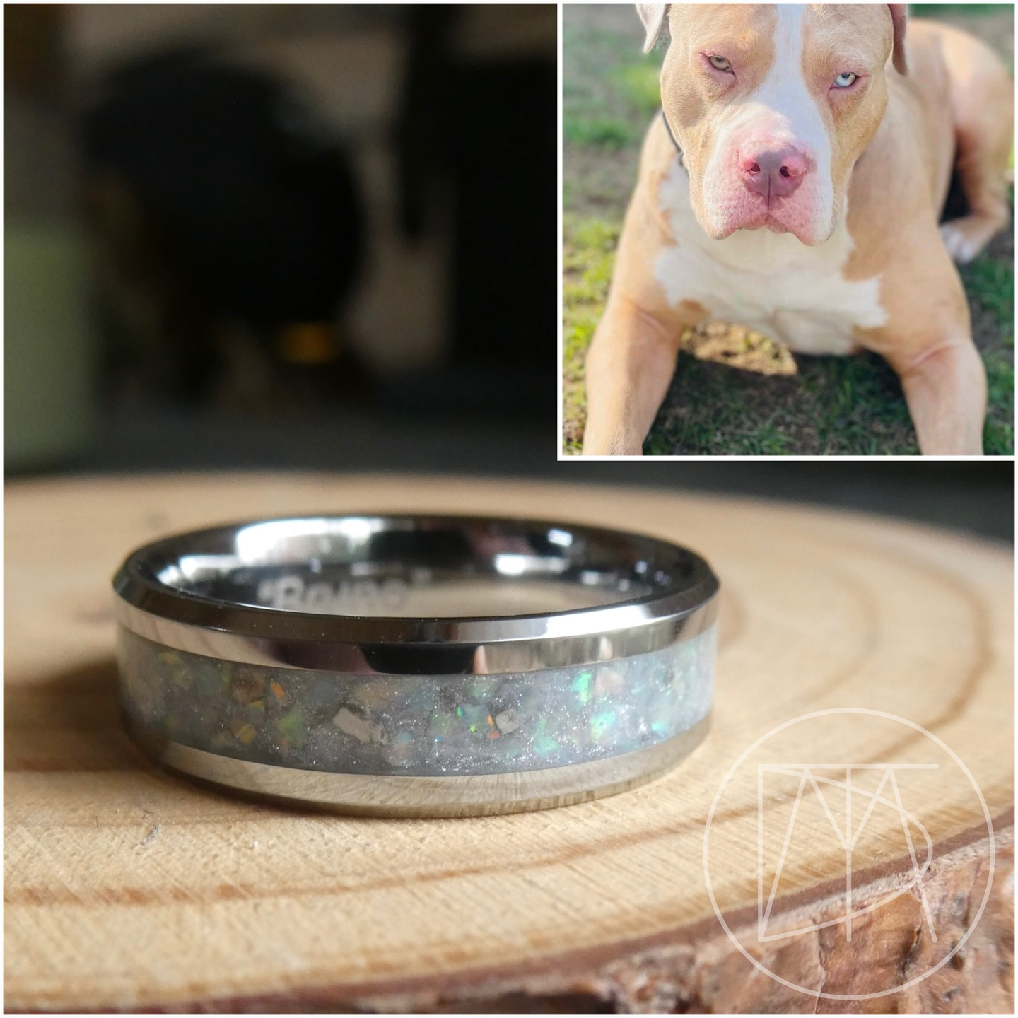 A beautiful ring made in memory of a very social boy, Bruno.
How beautiful are those eyes? 🤎🩵
#ashesjewellery #cremationjewellery #inlayring #petloss #keepsakejewellery