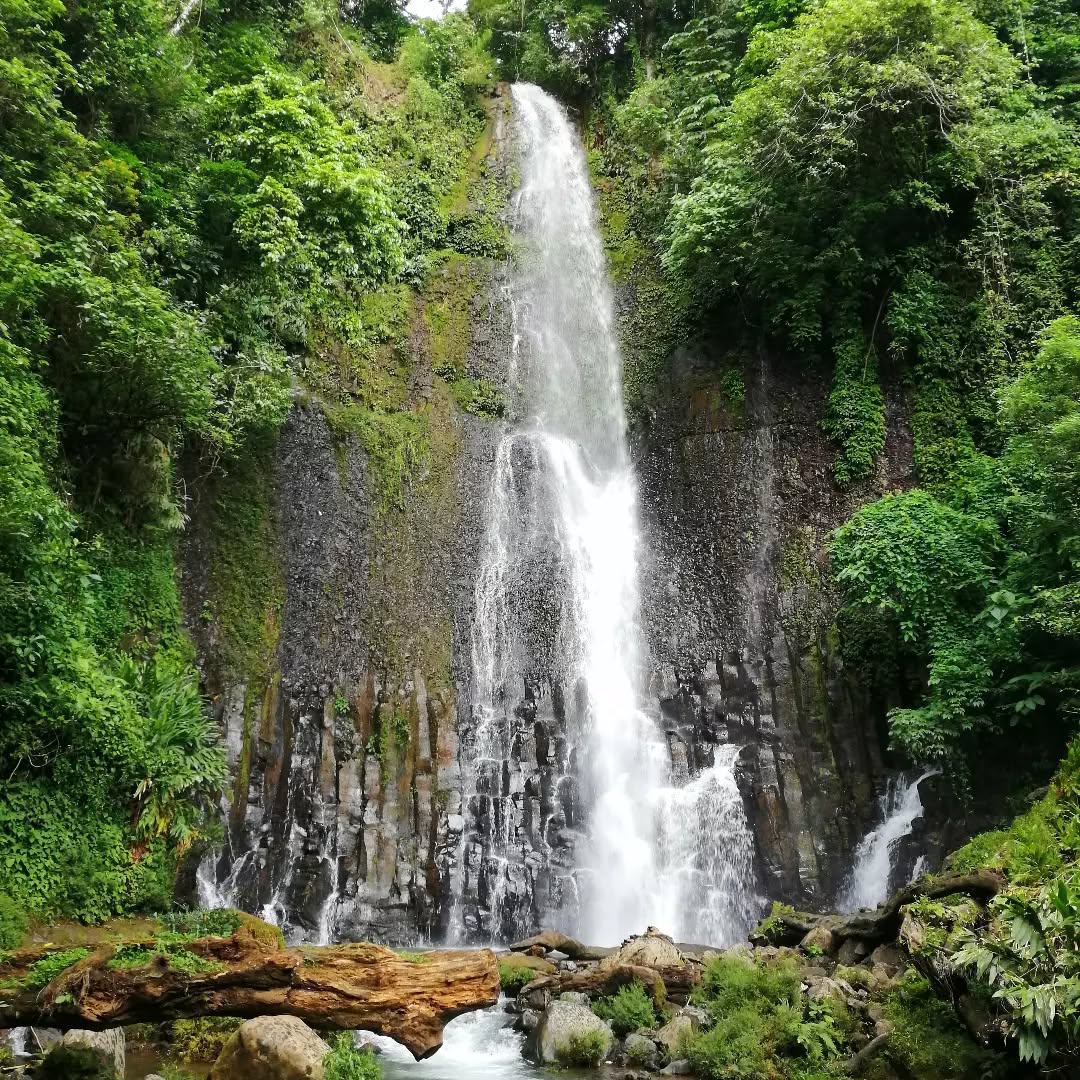 'Los Chorros' waterfalls 💚 is a magical place close to @mangiferahostel! It's easy to reach by public bus 🚌 or taxi 🚕 Read detailed inside information about 'Los Chorros' on our website ➡️ link in bio
¡Cataratas 'Los Chorros' 💚, un lugar mágico cerca de @mangiferahostel! Es fácil llegar en bus público 🚌 o en taxi 🚕 En nuestro sitio web encuentras información detallada acerca 'Los Chorros' ➡️ link in bio
#loschorros #cataratasloschorros #greciacostarica #quebuenlugar #costaricacool #hikingtiquicia #mangiferahostel #travel#traveltips #discovertheworld #offthebeatenpath #waterfall #waterfallcostarica #waterfallscollective #greciaalajuela #hostel #hostellife #hostelsoftheworld