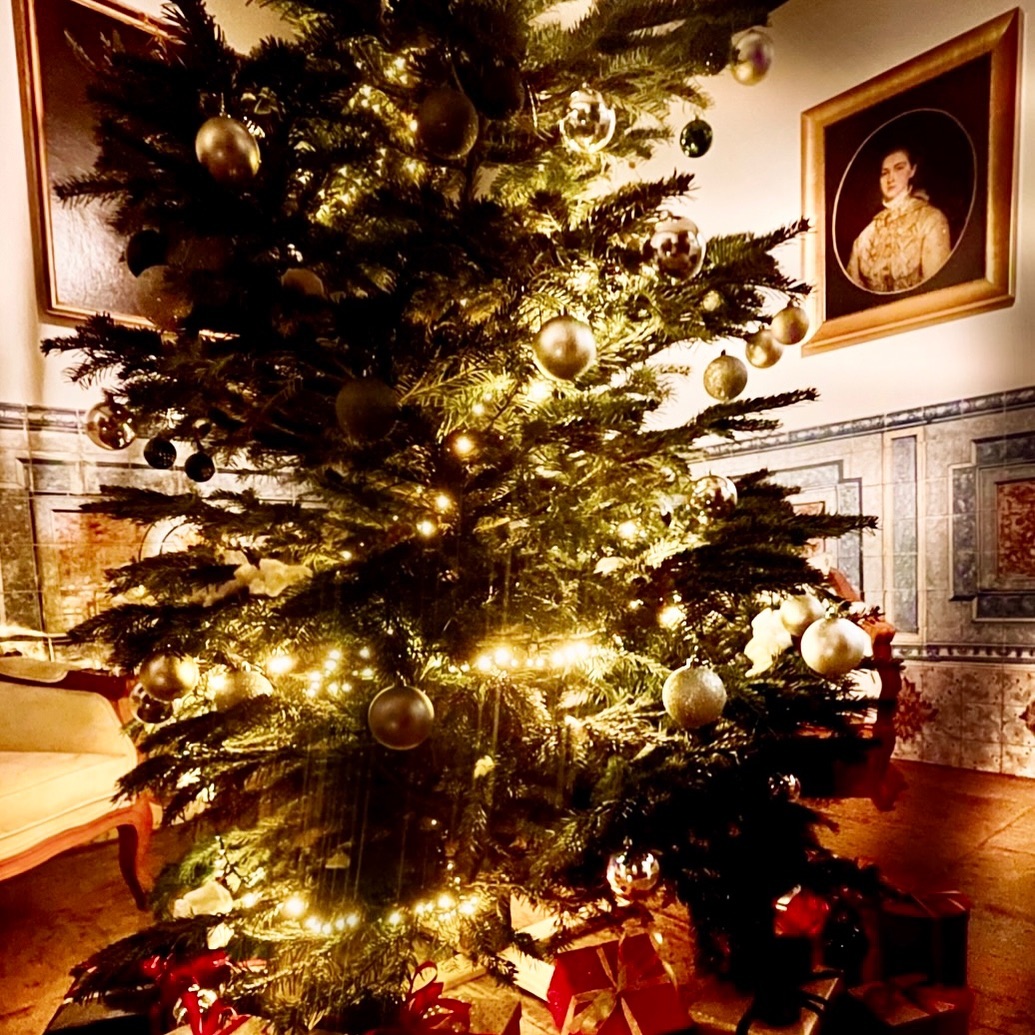 ๐ด๐๐ ๐๐๐ค ๐๐๐ก ๐ข๐ ๐๐๐๐๐๐ฃ๐ ๐๐ ๐ ๐๐๐๐ ๐ฆ๐๐๐ ๐กโ๐๐ก ๐๐ ๐๐๐ฃ๐๐ ๐ก๐ ๐ข๐ , ๐๐๐ค, ๐ข๐๐ก๐๐ข๐โ๐๐, ๐๐ข๐๐ ๐๐ ๐กโ๐๐๐๐ ๐กโ๐๐ก โ๐๐ฃ๐ ๐๐๐ฃ๐๐ ๐๐๐๐ ๐ฒโจ
#winterseason #lisbon #boutiquetravel #hotel #weekendtrip #interriordesign