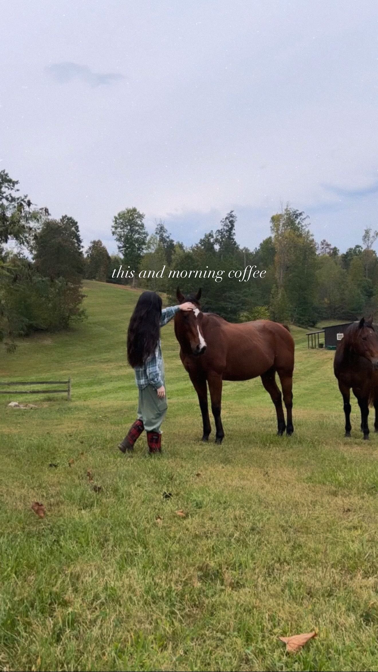 🐴 ☕️ 32 days till Spring!! which means warmer days are seriously so close! 🌷
#simplecountrylife #longhaircare
