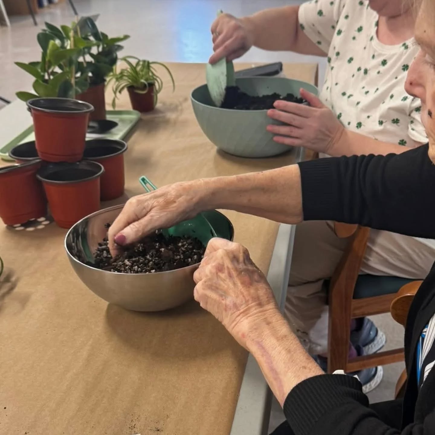 Caring for an aging loved one? Learn how horticultural therapy๐ฑ can support you and your senior-care at our FREE hands-on workshop: Caregiving for Seniors: A Therapeutic Horticulture Workshop (link in bio)
We have 10 spots left! This free event is proudly funded by the @mentalhealthns
.
.
.
#plantsmakepeoplehappy #horticulturetherapy #seniorcare #caregiving #planttherapy
