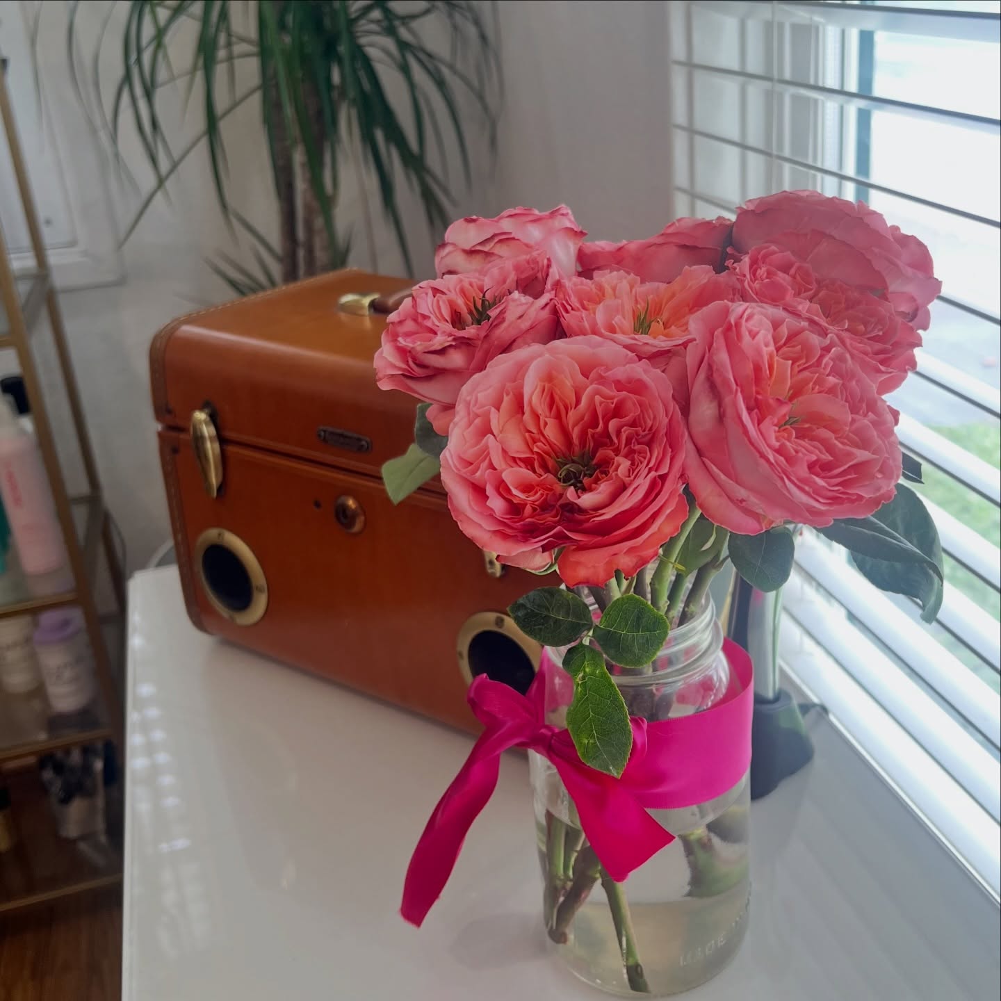 I’m just a sucker for garden roses
.
Picked these up at Trader Joe’s
.