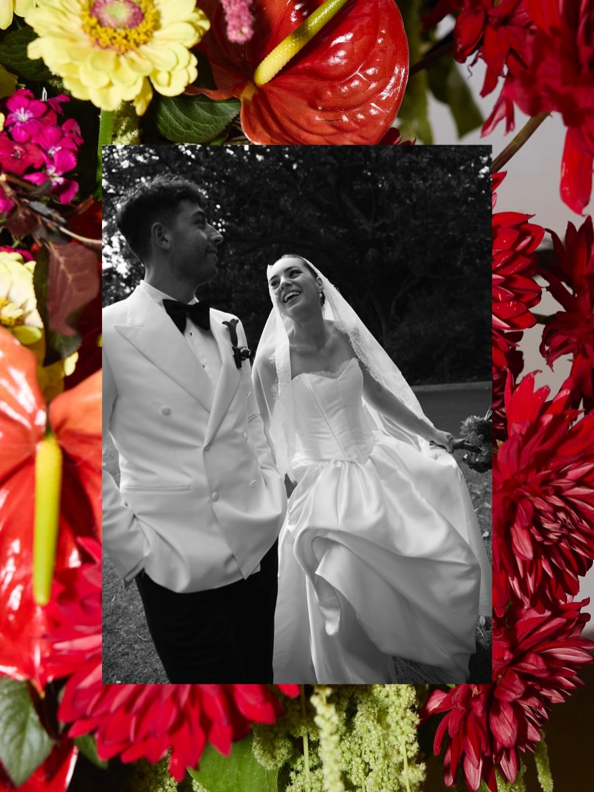 π₯β€οΈπ₯ J+L
@jayne.nikolovski @luke.nikolovski
Photography @ginacawley_weddings
Videographer @videoboutique
Makeup @nikkiidimatteo
Hair @danni_theglosscollective
Dress @kwhbridal
Veil @calilybridal
Morning outfit @kat_thelabel
Hotel @theroycehotel
Venue @theterraceevents
@theterracebotanicgardens
Punting boats @royalbotanicgardensvic
Umbrellas @melbourneumbrellahire
DJ @ministryofdjsentertainment
Florals @soursunflower
Cake @good.good.cake