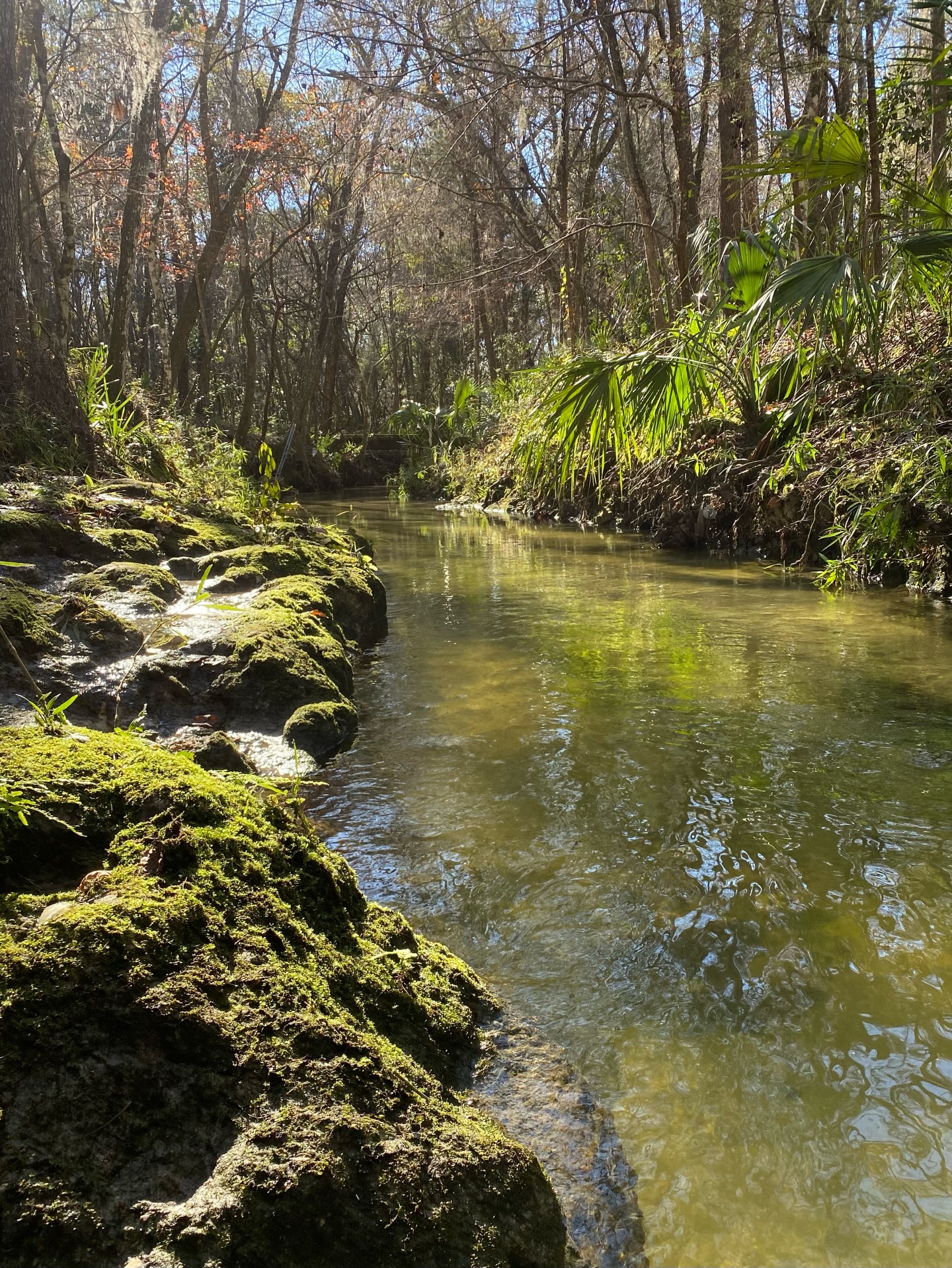 Rivers carry more than water. They carry life, food, culture, and connection.π§ On this day of International Action for Rivers, we remind ourselves that what flows downstream starts from us. Every choice to protect freshwater MATTERS. Healthy rivers are a part of a healthy planet. #UNLITTER #jointhemovement π