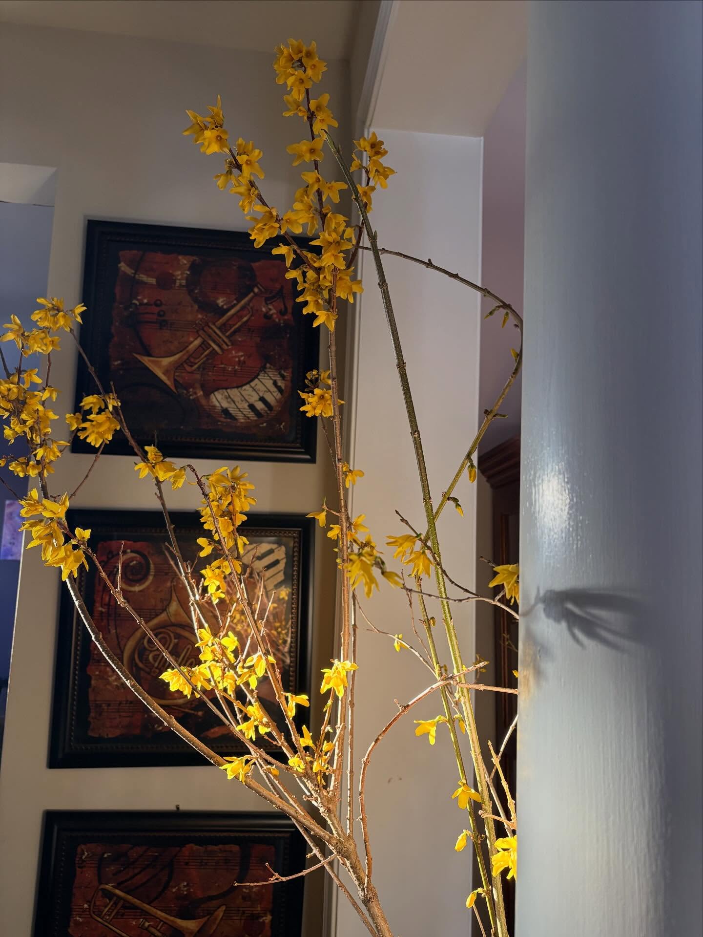 Take a deep breath. Right now, in this moment, can you feel the subtle shift in the air? Spring is whispering its arrival, bringing themes of renewal, growth, and fresh energy.
I am so excited to announce that my “Spring Awakening” Womens Wellness Retreat is officially in the works! This year, we will be diving deep into practices to help you unburden your “winter shell” and reconnect with your most authentic Self.
Want “First Dibs” on Registration?
Because I keep my retreat circles intimate and spaces are limited, I am giving my Facebook Group members exclusive 48-hour early access to register before I open it to the public.
How to get on the “First Dibs” list:
🌾Click here to join my private community: www.facebook.com/groups/soulfulheartbalancewellness
🌾Introduce yourself to the tribe!
🌾Keep an eye out for the “Early Bird” announcement coming soon.
Joining the group doesn’t just get you a head start on registration—it’s where I share weekly grounding exercises, wellness tips, recipes, and deeper check-ins that you won’t find anywhere else.
Today’s Thoughtful Reflection:
What is one part of your life that feels ready for a “Spring Cleaning”? Whether it’s a physical space or an internal pattern, share a 🌿 in the comments if you’re ready for a fresh start!
#ThoughtfulThursday #SpringWomensRetreat2026 #IFS #SomaticHealing #WellnessJourney #FirstDibs #SoulfulHeartBalance #SoulfulHeartBalanceCoaching #SoulfulHeartBalanceWellness #SpringAwakening