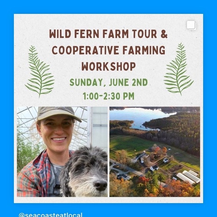 The financial barriers to starting and maintaining any type of farm are high. Access to land is just the beginning. There is the infrastructure, equipment, utilities and maintenance of it all. Never mind the more typical expenses that you might think of- seeds, feed, fertilizer, labor, insurance etc. And farming is all around financially risky. You’re never going to make a lot and you could potentially lose a lot in a bad year. Most farms depend on off farm income (87% in NH), inherited wealth or are heavily leveraged.
The traditional model of buying your own land and infrastructure and starting your own family farm is not possible for many who want to start their own farm businesses. But we all hear that we need more farms, that we need more food to be produced locally. So what are other ways can we remove some of those barriers to starting and maintaining a farm?
Come join us and Seacaost Eat Local this Sunday, June 2nd 1:00-2:30 at Bakie Farm for a tour and discussion about how three farm businesses @hungry_heart_farm, @bakiefarmflowers and @wild_fern_farm_nh are sharing land, infrastructure and equipment. We want to share this farm sharing model that has worked for us to greatly reduce our overhead farm expenses and barriers to starting and running our businesses.
We will leave plenty of time to walk around the different fields at the beautiful Bakie Farm property, check out the infrastructure and equipment we share and for conversation.
Registration is required and you can register for the event on the @seacoasteatlocal website.
#nhagriculture