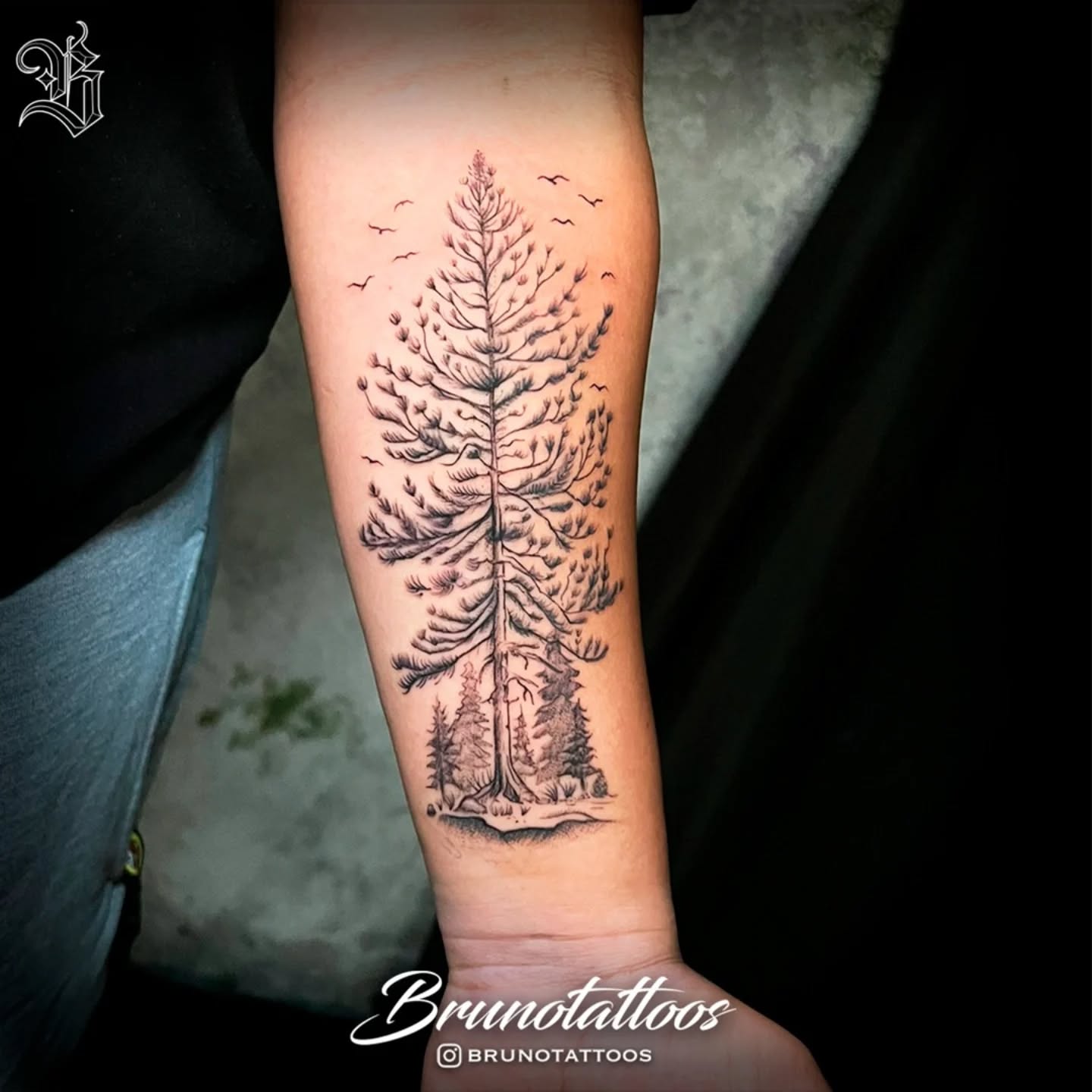 First tattoo for Nylah 🌲✨
A micro-realistic pine tree — timeless, grounding, and full of meaning. There’s something special about choosing nature for your very first piece.
Nylah, thank you for trusting me with this milestone. It was a pleasure having you and your mom in the studio, and I truly hope you both had an amazing experience.
I love creating nature, landscape, and botanical tattoos — pieces that feel alive, balanced, and personal. If you’ve been thinking about something inspired by the outdoors, I’d love to bring it to life for you.
Thank you again for the trust.
Done with @cheyenne_tattooequipment
#austintattoo #atxtattoo #microrealism #finelinetattoo #blackandgreytattoo