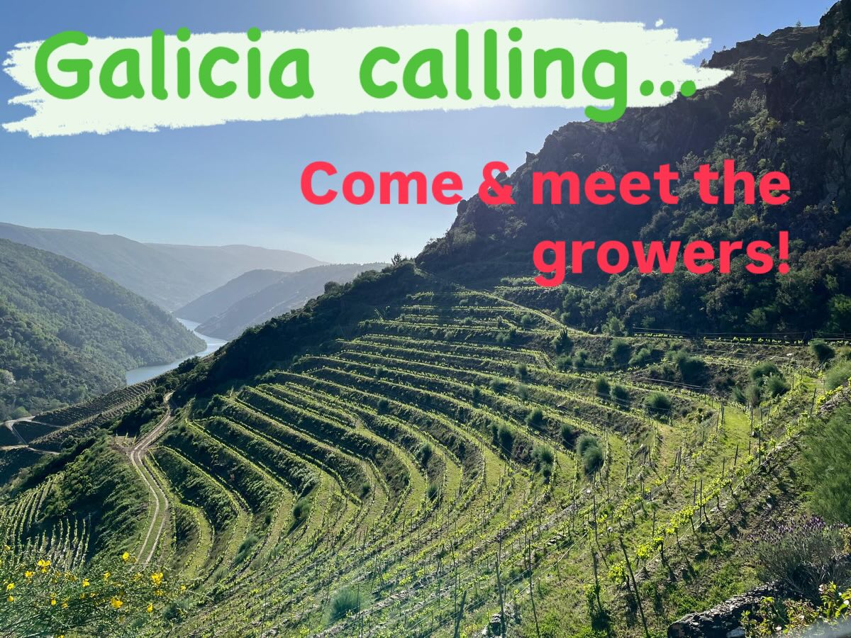 The clock is ticking…for the Galicia tasting 🔥🔥🔥@thefumbally This coming Monday welcoming in Dublin: Rafael Palacios @rafaelpalacios_viticultor José Luis Mateo from Quinta da Muradella, Silvia Prieto & Alberto Nanclares @nanclaresyprieto Pedro Rodriguez @adegasguimaroficial Xurxo Alba @albamarbodegas Join us from 10:30am-4pm for the unique taste of the Spain’s Northern wine frontier…